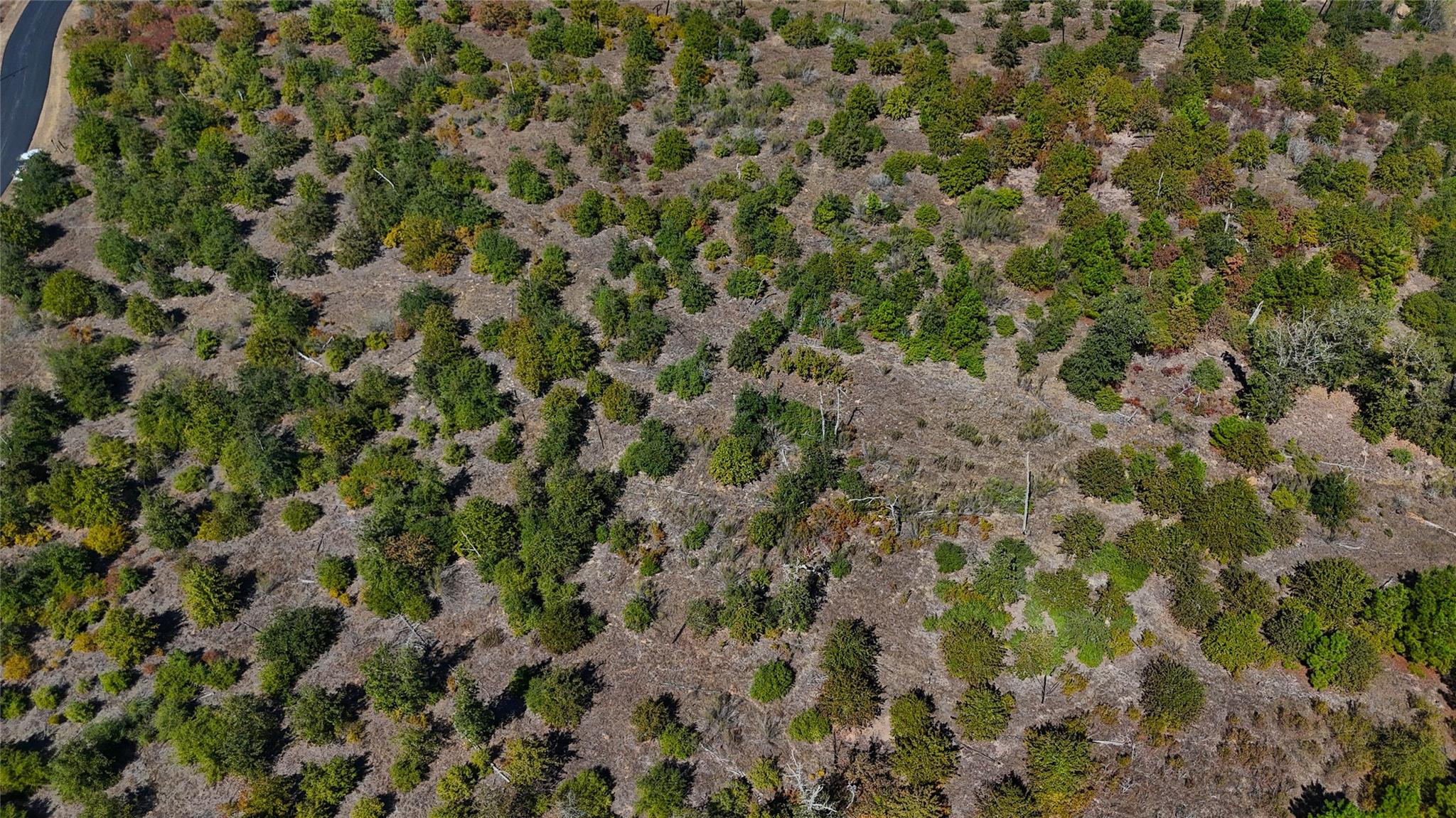 TBD Cottletown Rd, Smithville, TX 78957