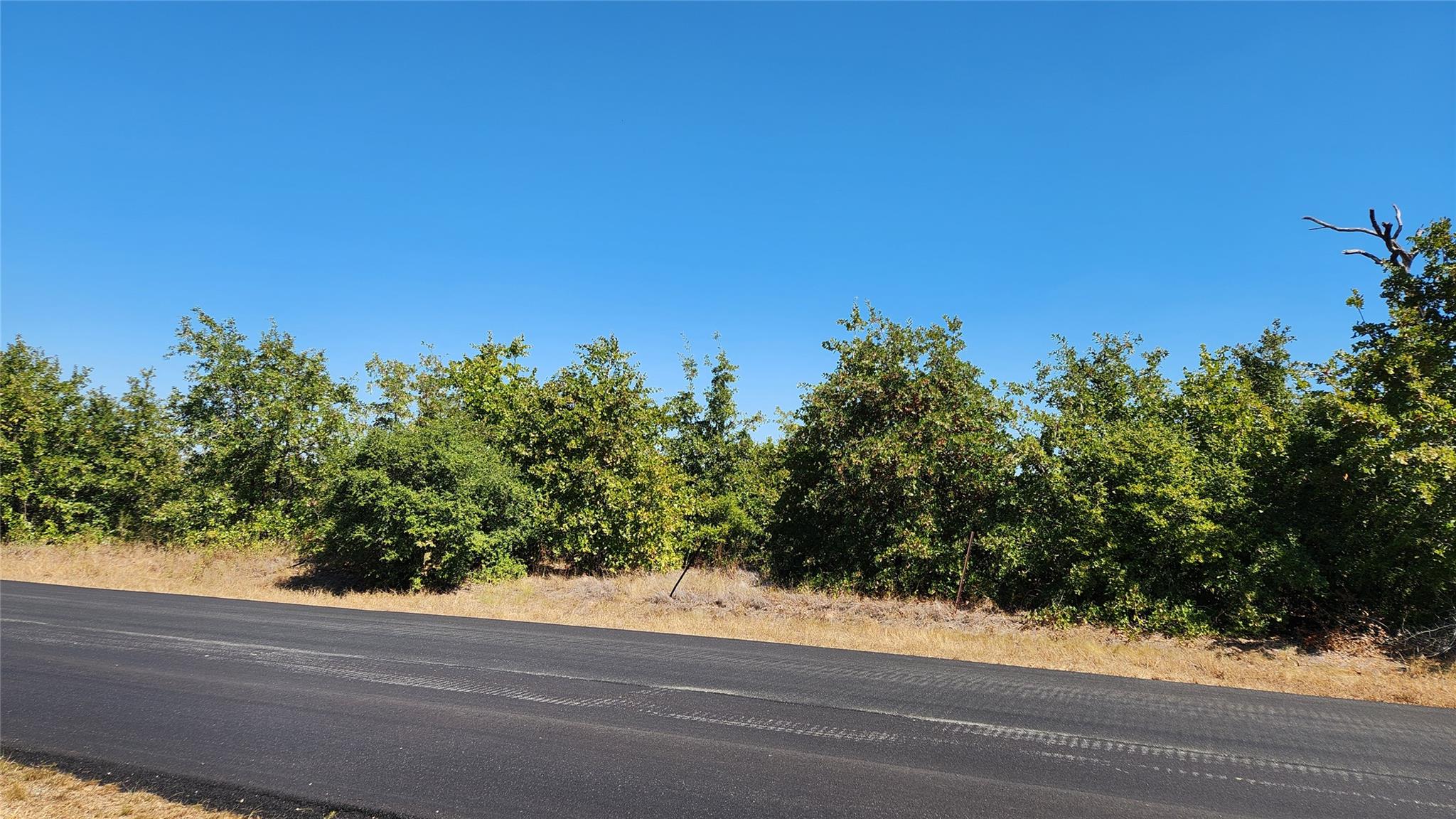 TBD Cottletown Rd, Smithville, TX 78957