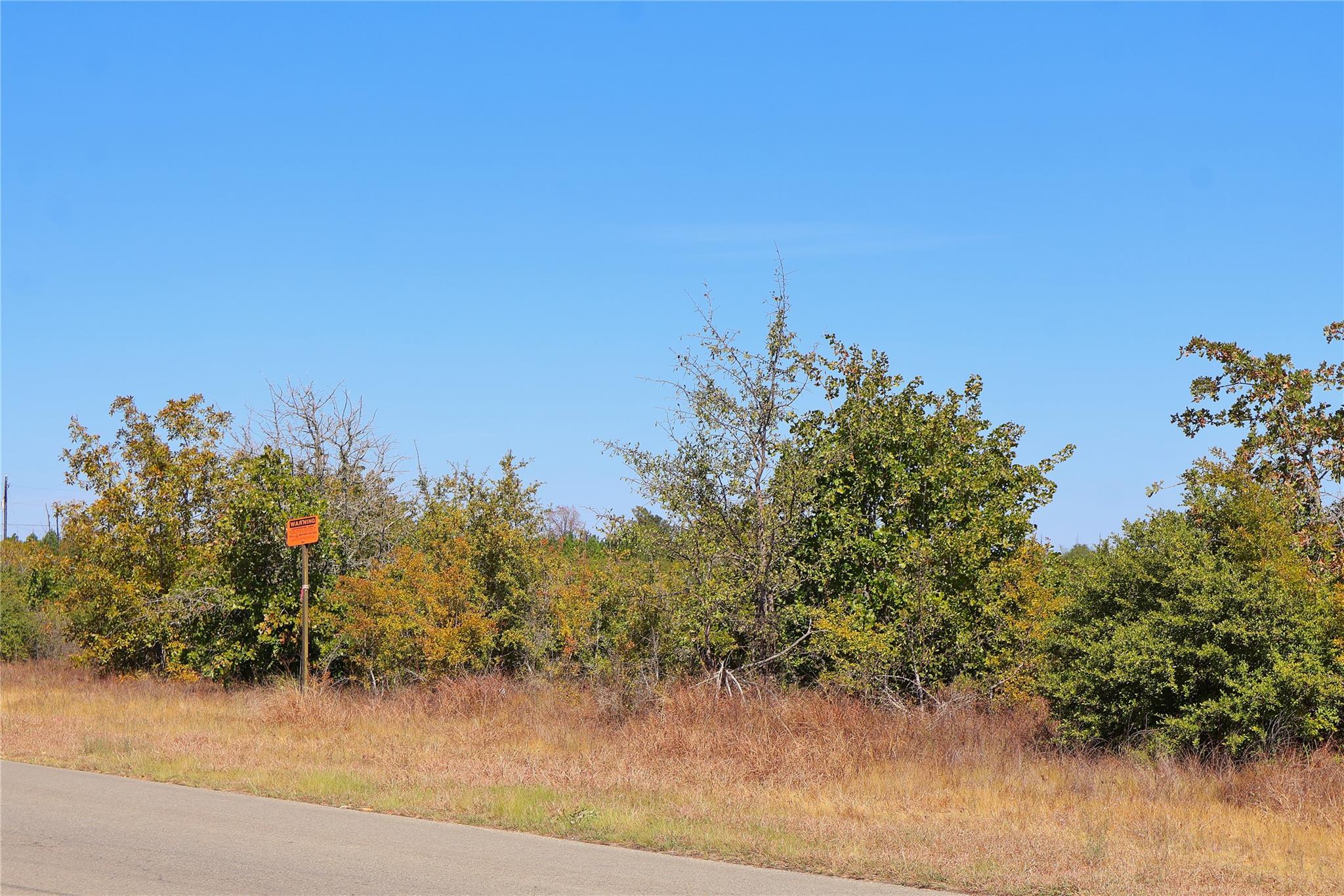 TBD Cottletown Rd, Smithville, TX 78957