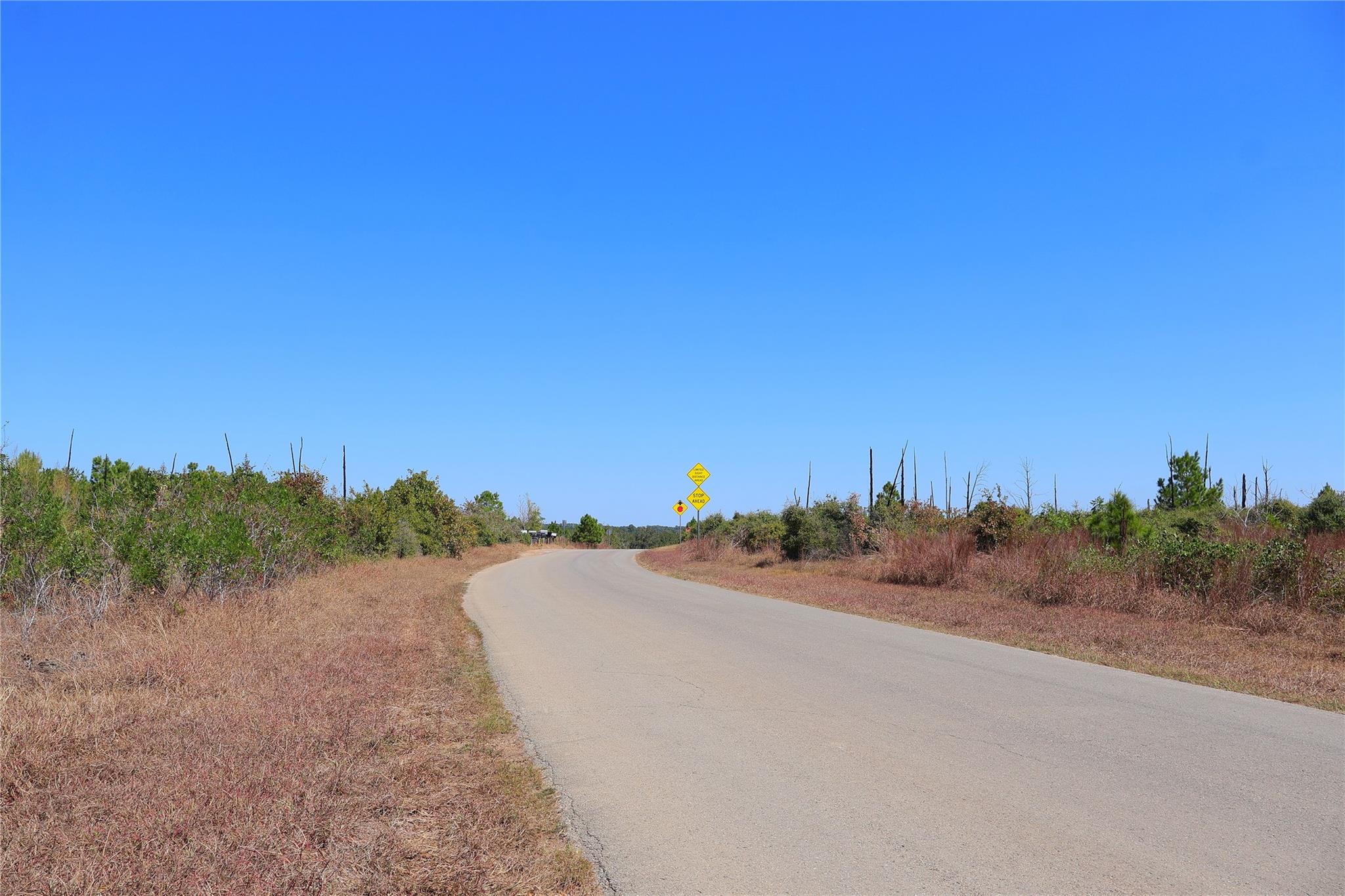 TBD Cottletown Rd, Smithville, TX 78957