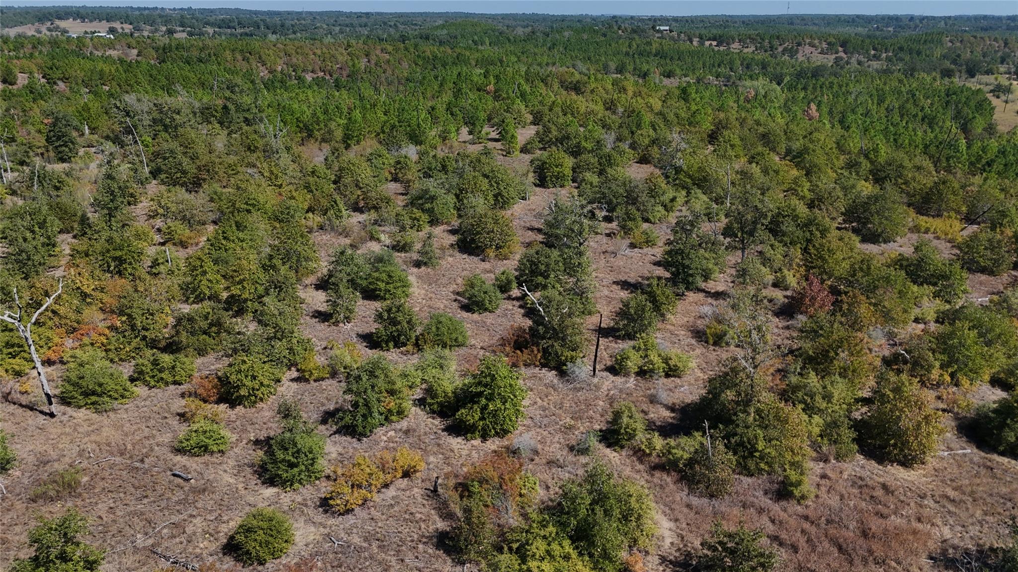 TBD Cottletown Rd, Smithville, TX 78957