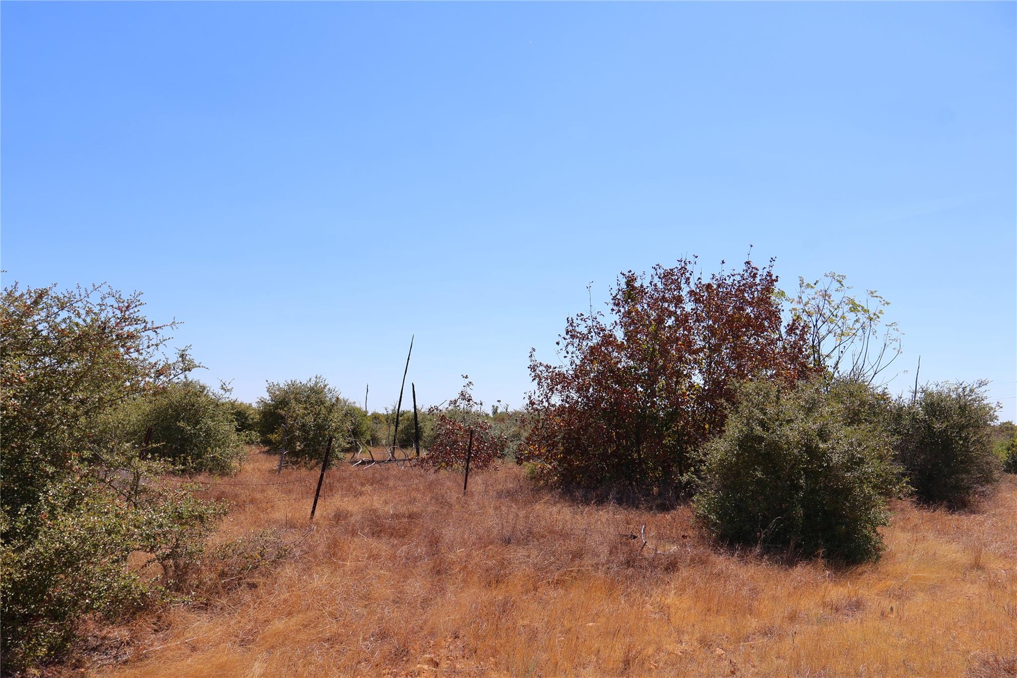 TBD Cottletown Rd, Smithville, TX 78957