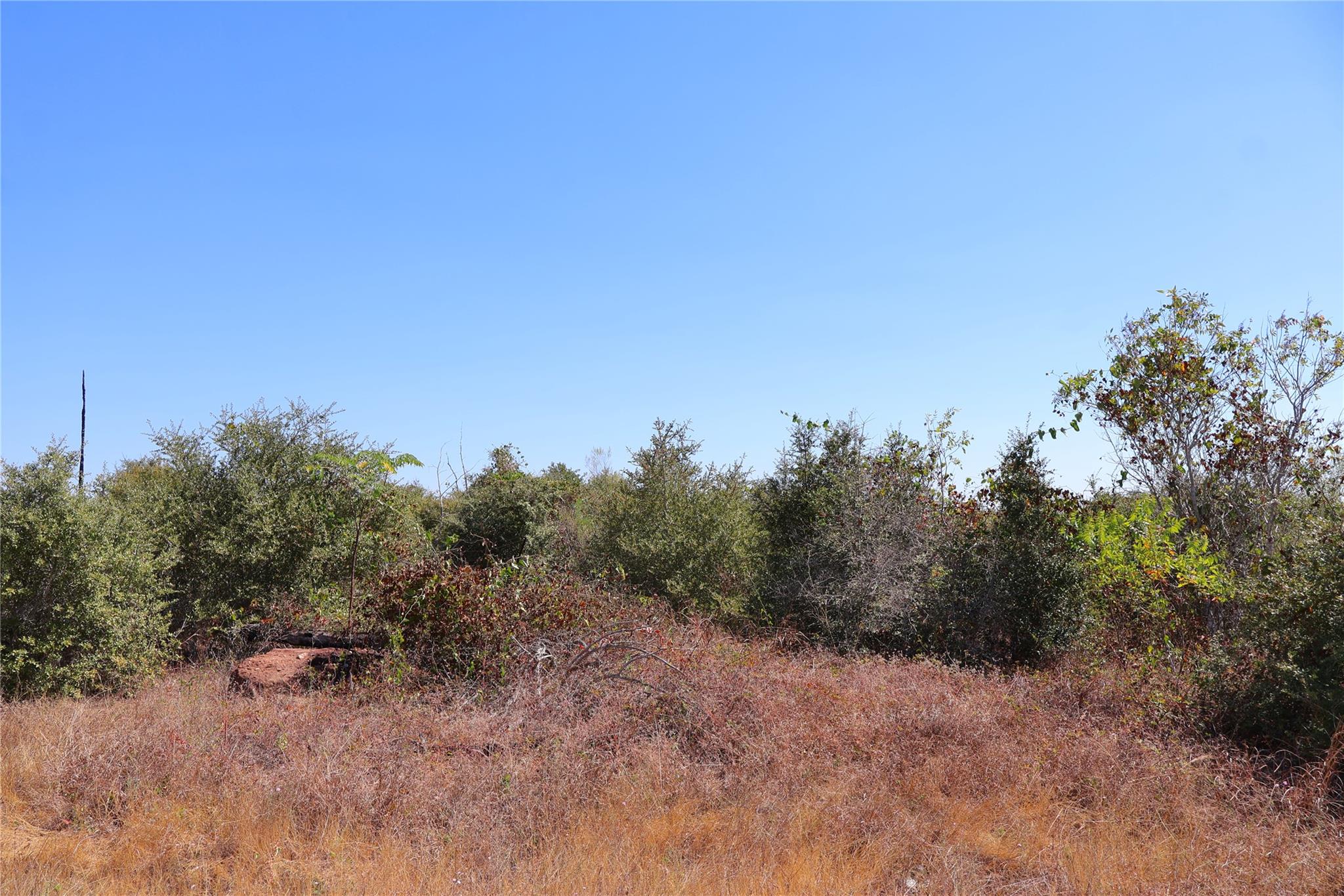 TBD Cottletown Rd, Smithville, TX 78957