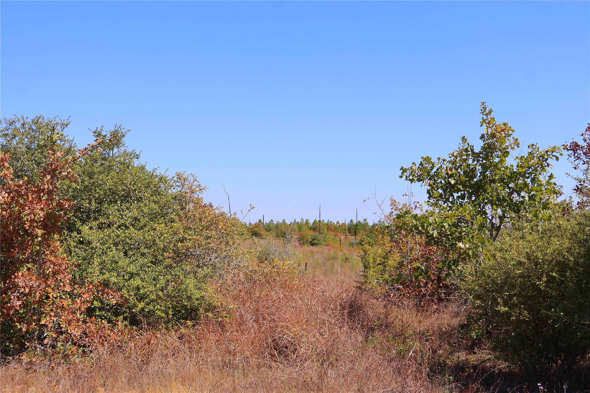 TBD Cottletown Rd, Smithville, TX 78957