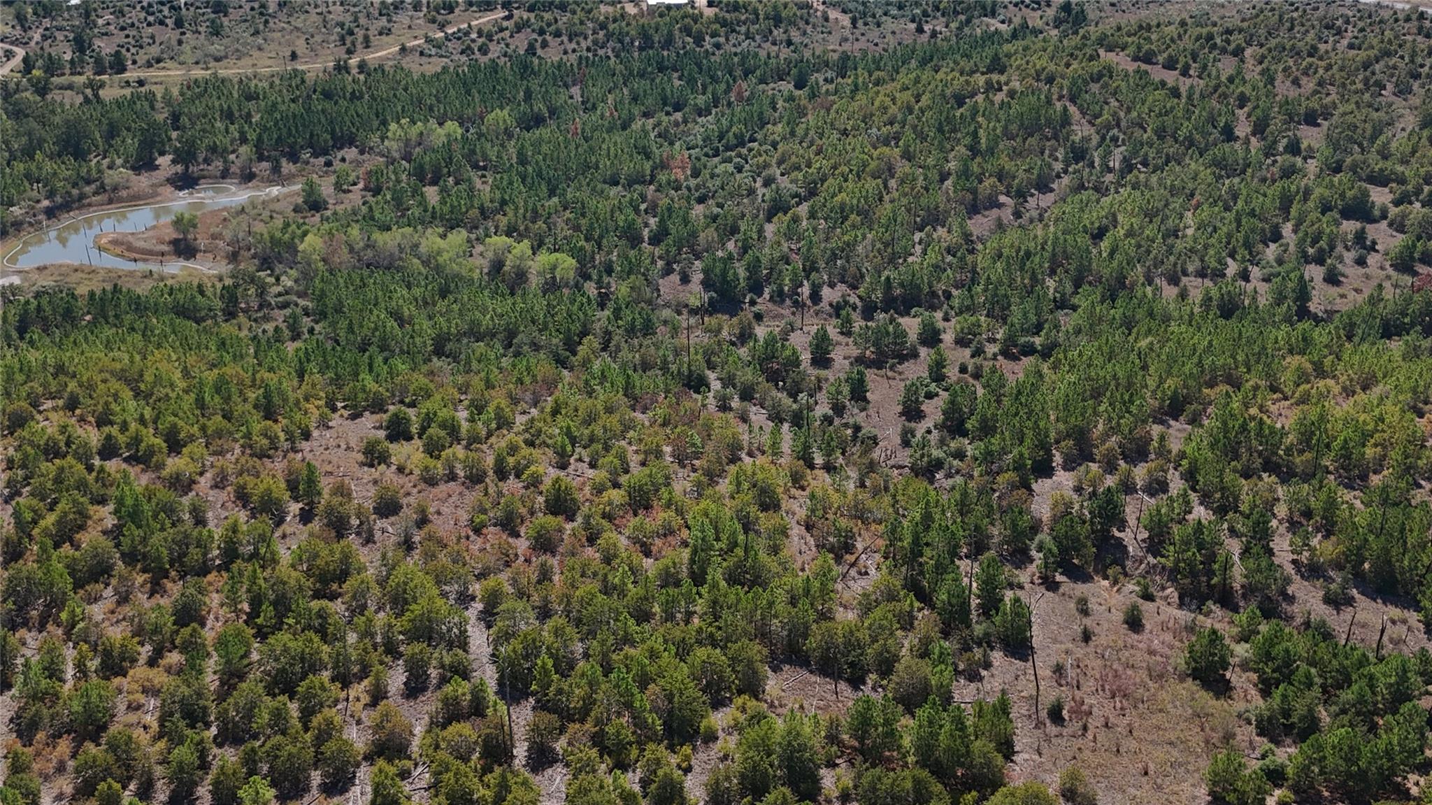 TBD Cottletown Rd, Smithville, TX 78957