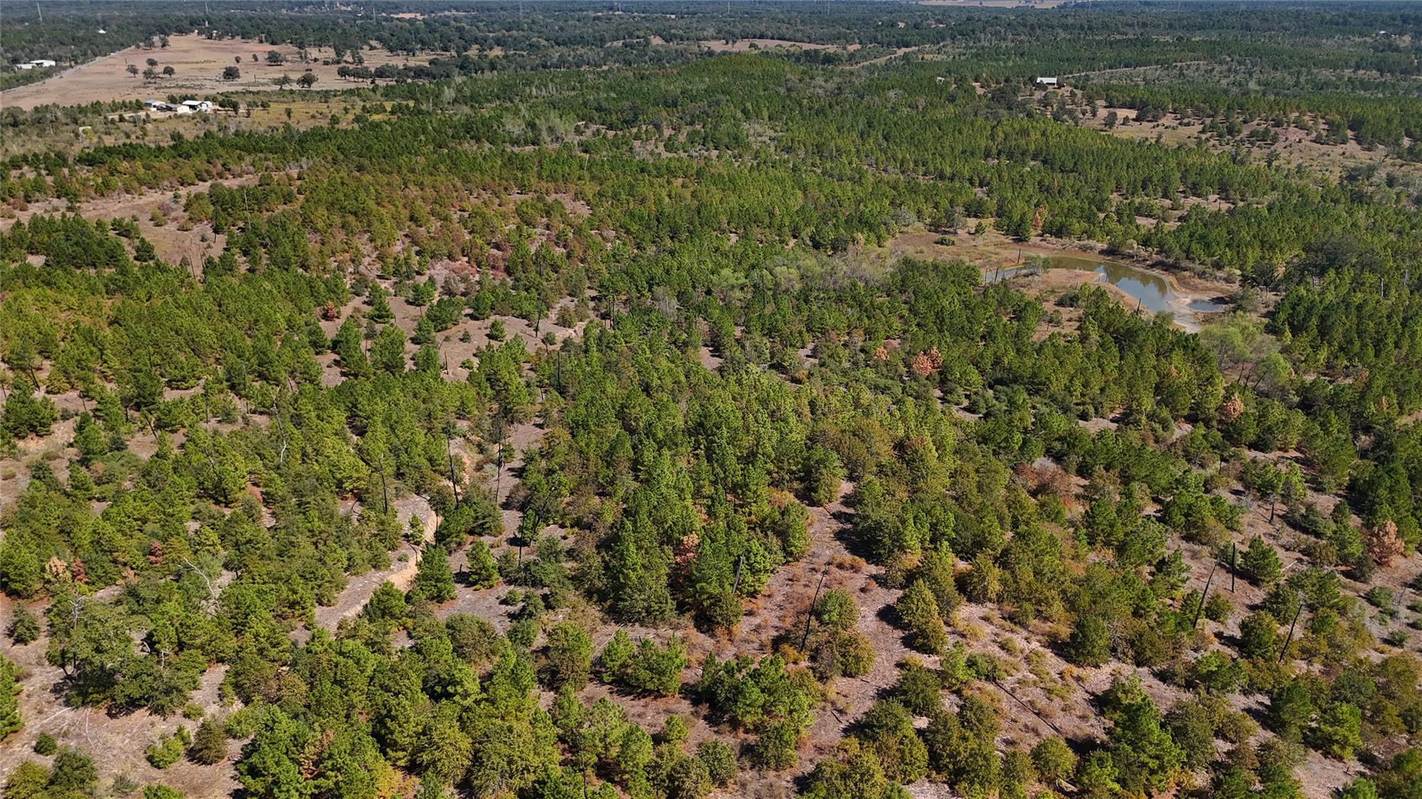 TBD Cottletown Rd, Smithville, TX 78957