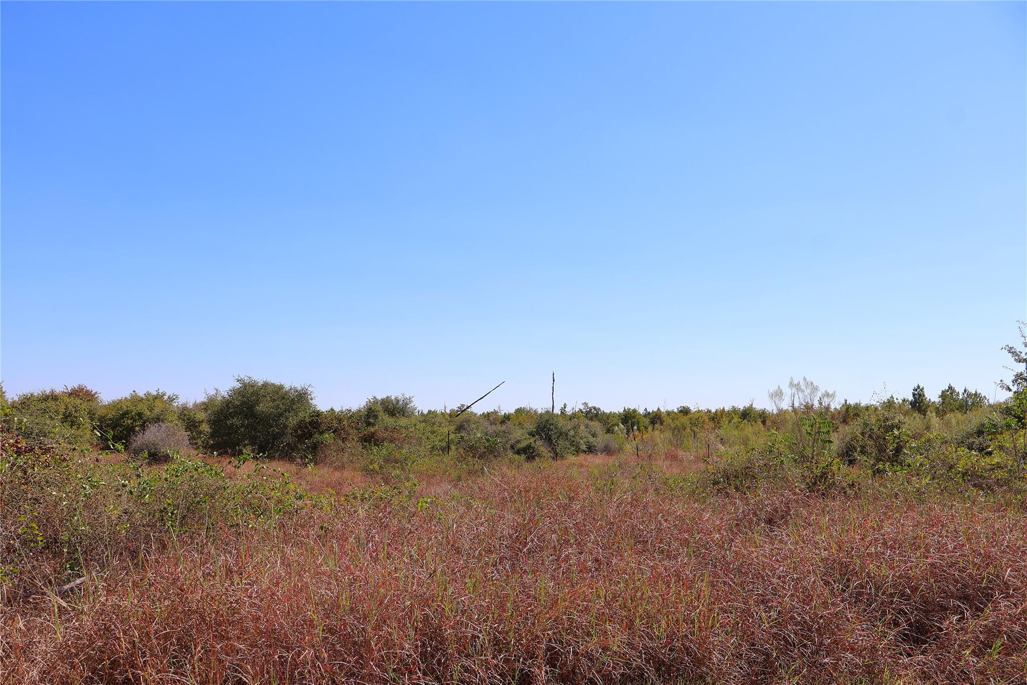 TBD Cottletown Rd, Smithville, TX 78957