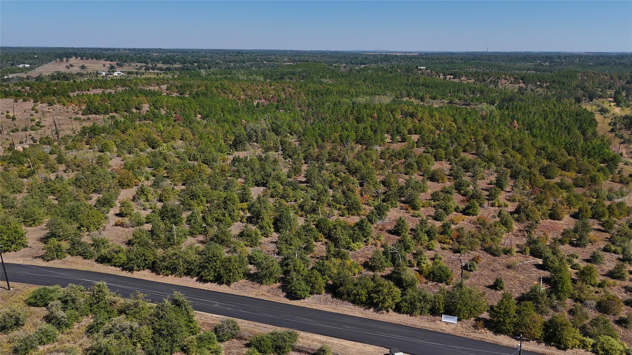 TBD Cottletown Rd, Smithville, TX 78957