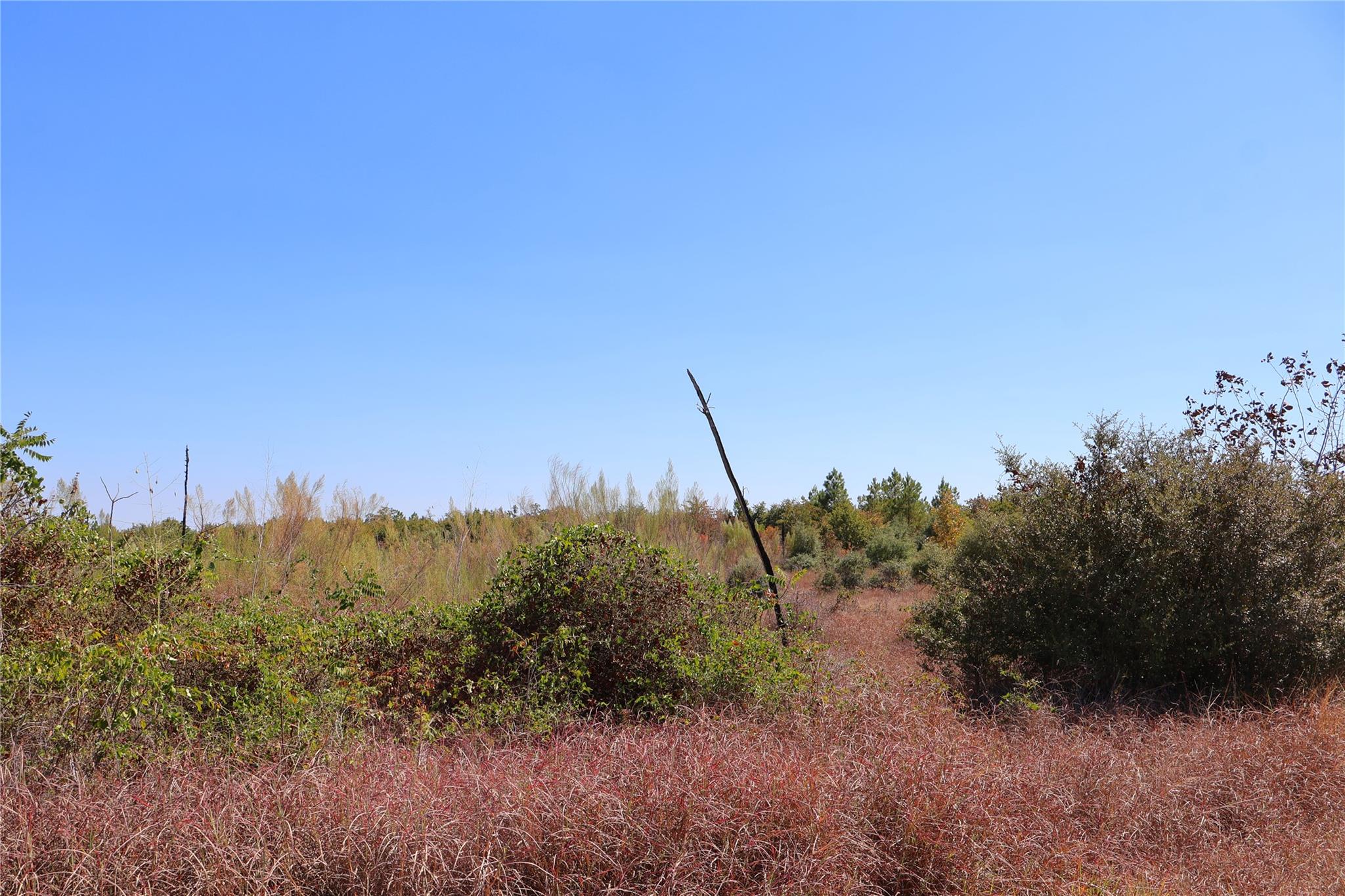 TBD Cottletown Rd, Smithville, TX 78957