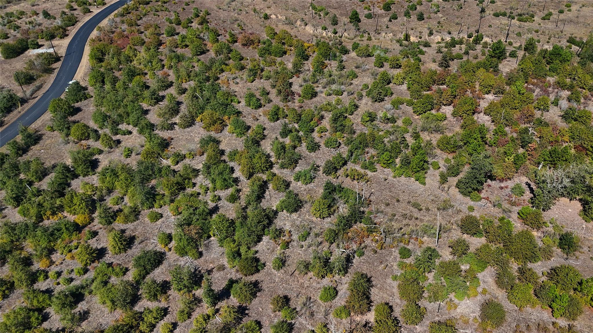 TBD Cottletown Rd, Smithville, TX 78957