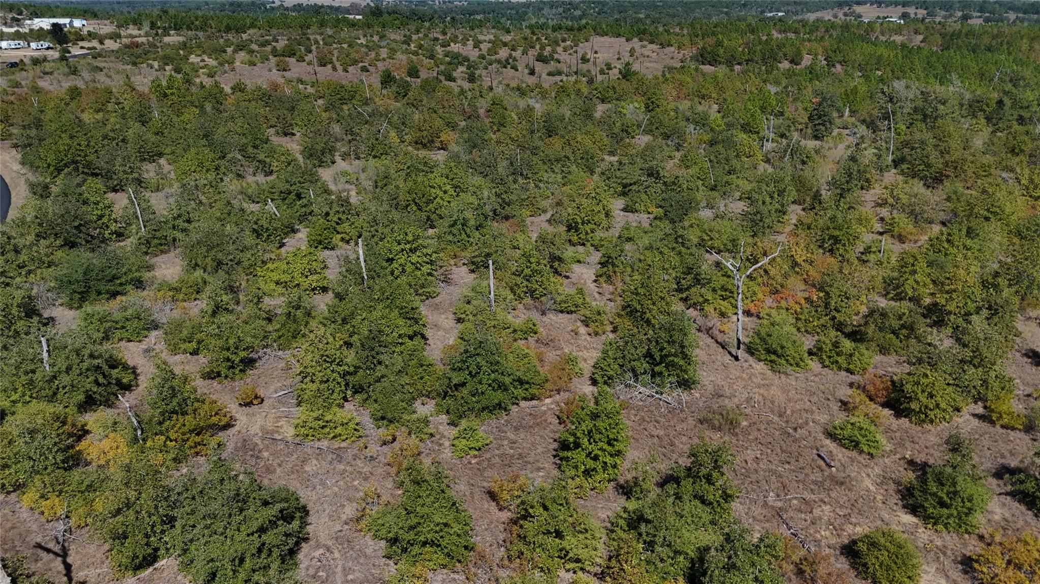 TBD Cottletown Rd, Smithville, TX 78957