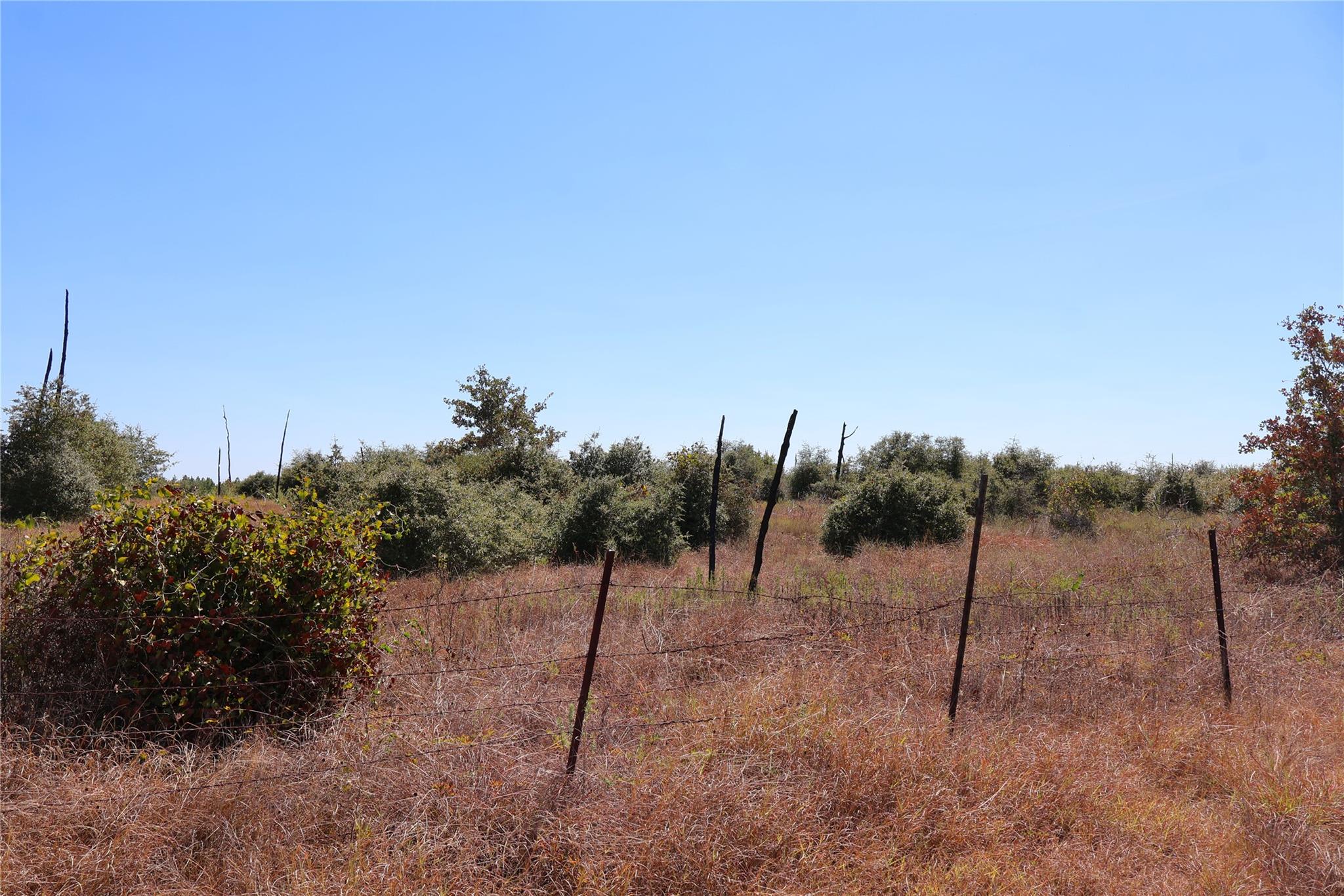 TBD Cottletown Rd, Smithville, TX 78957