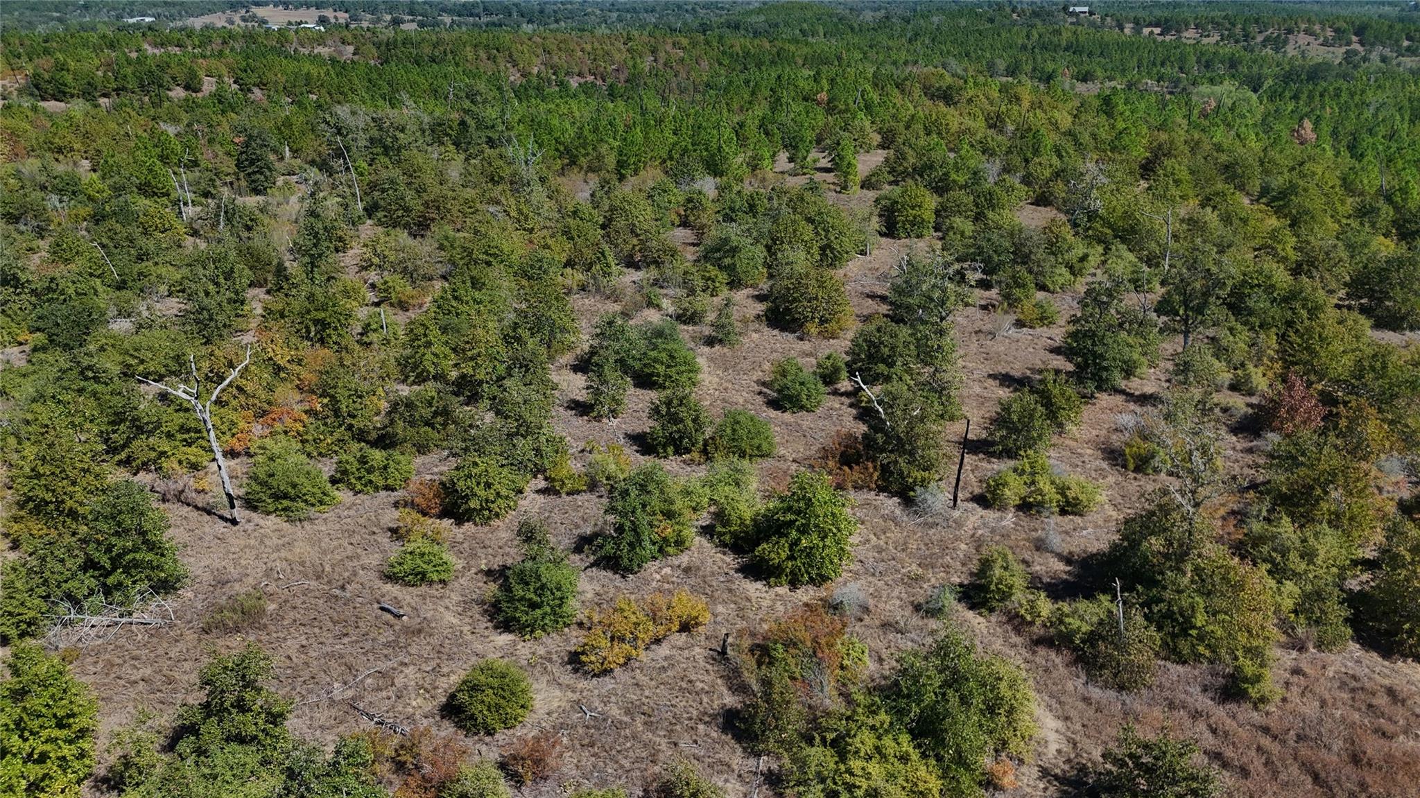 TBD Cottletown Rd, Smithville, TX 78957