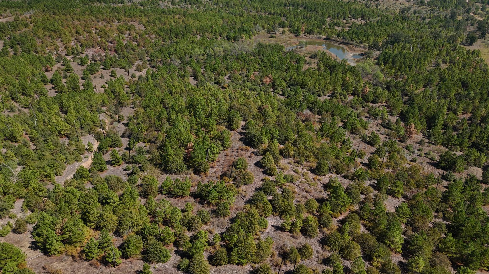 TBD Cottletown Rd, Smithville, TX 78957