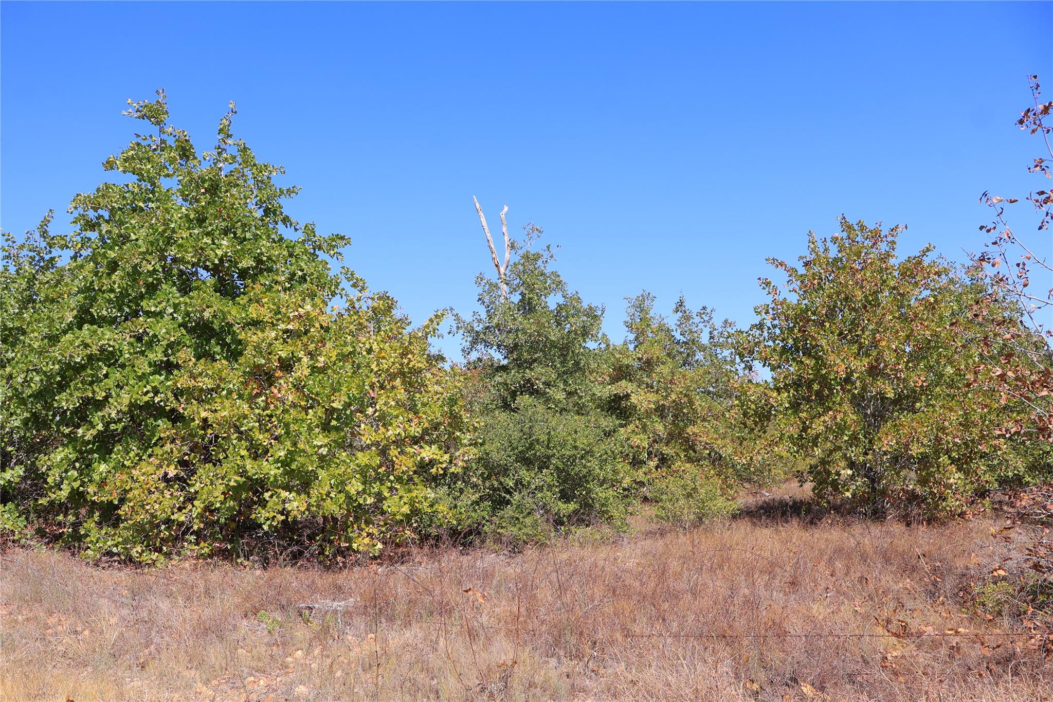 TBD Cottletown Rd, Smithville, TX 78957