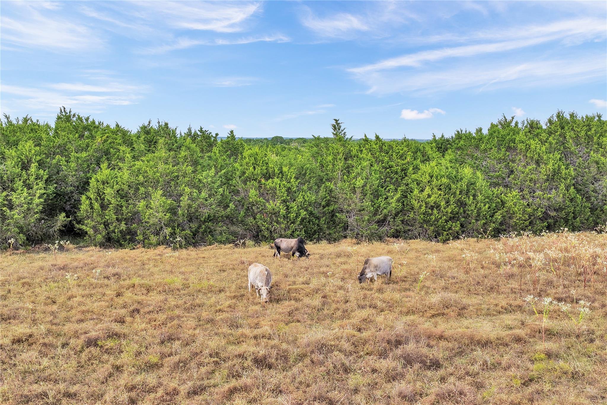 1413 Lonesome Bird, Burnet, TX 78611
