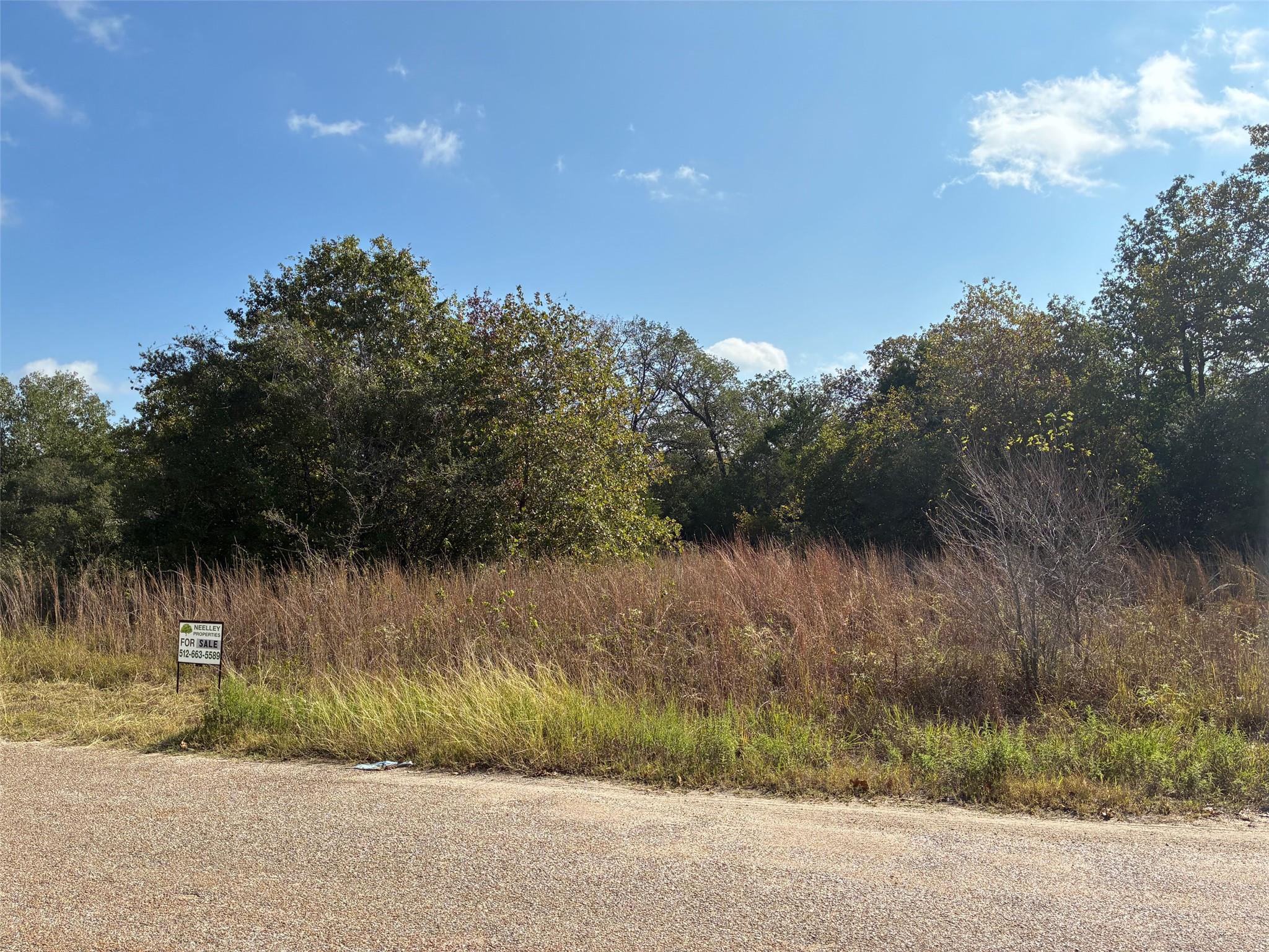 167 Blanket Flower Dr, Bastrop, TX 78602