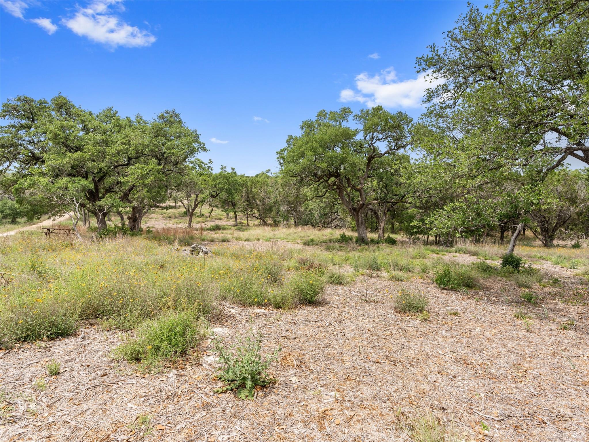 504 Oak Grove Rd, San Marcos, TX 78666