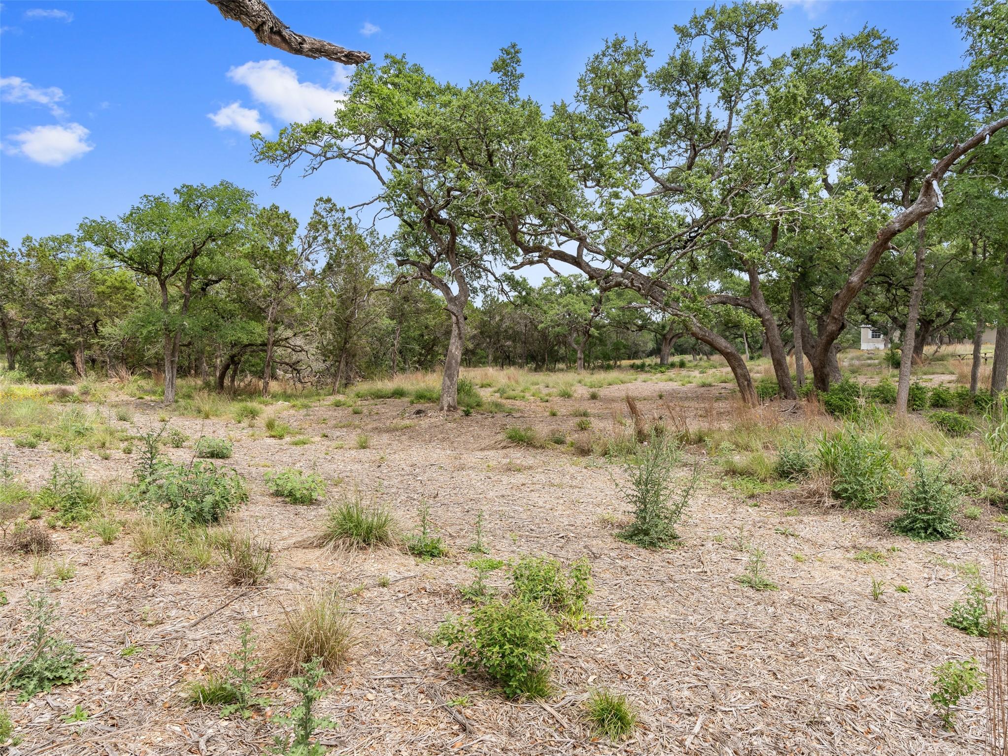 504 Oak Grove Rd, San Marcos, TX 78666