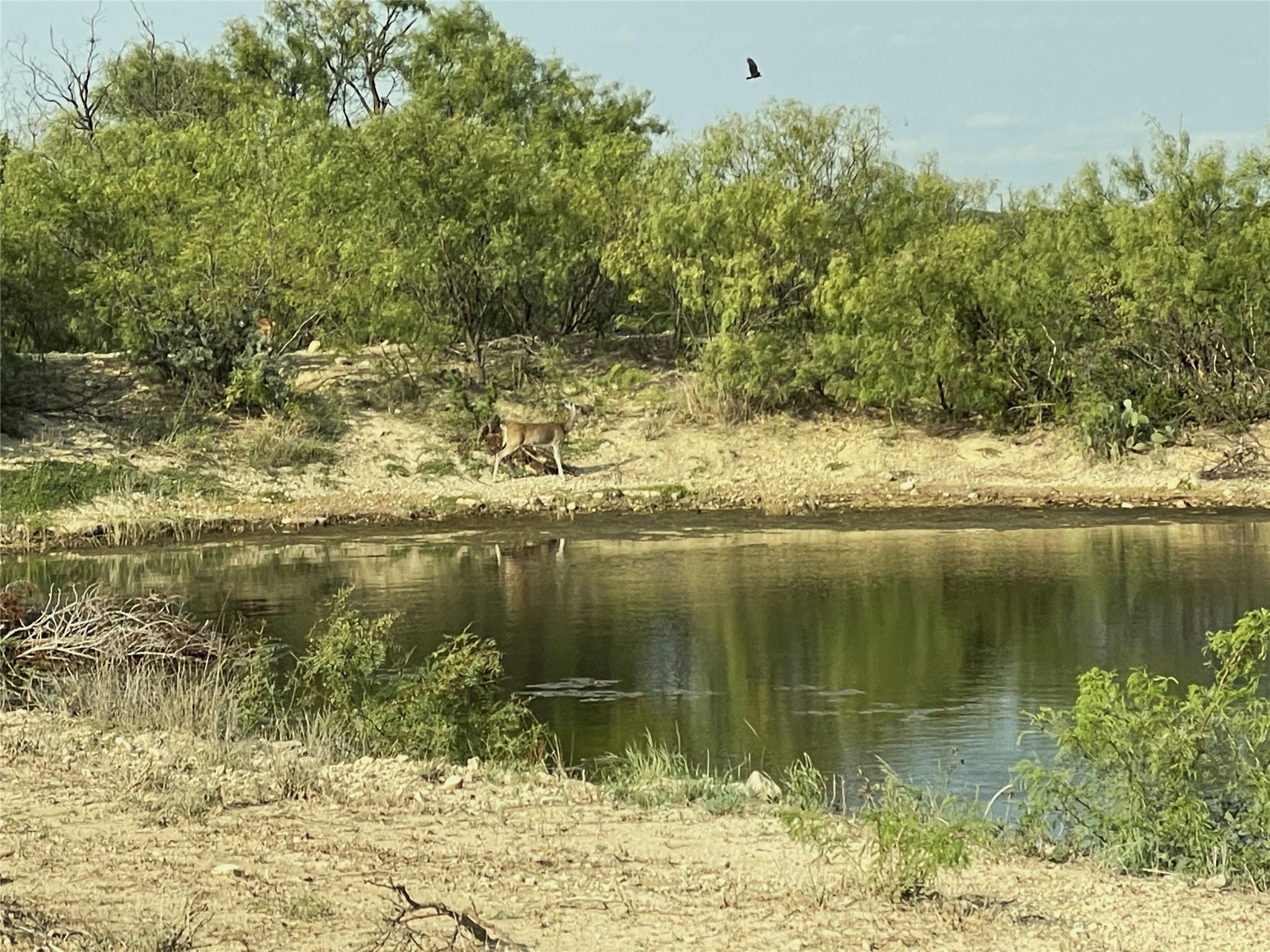 18099 Fm-2134, Millersview, TX 76862