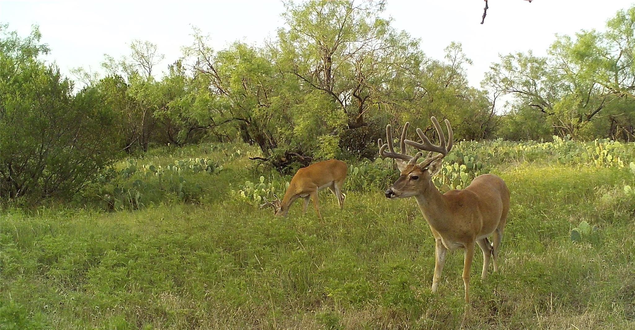 18099 Fm-2134, Millersview, TX 76862