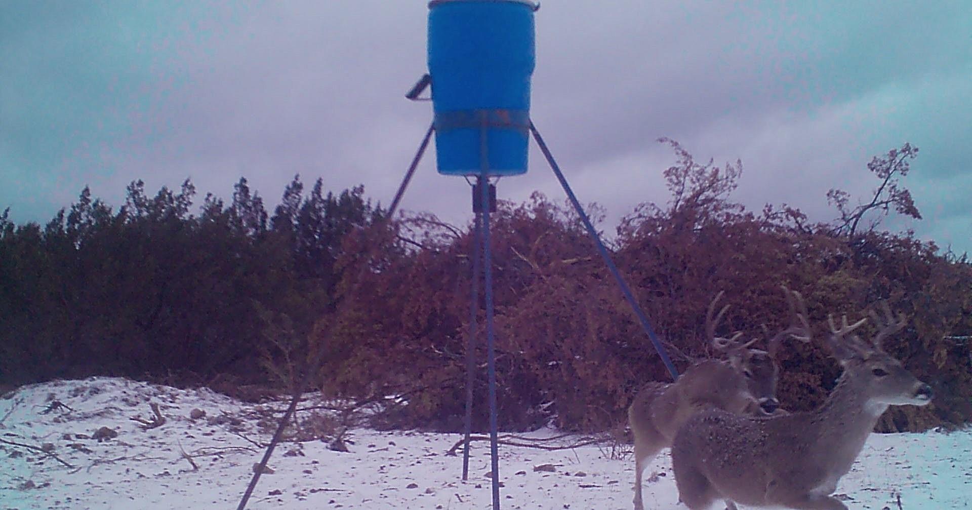 18099 Fm-2134, Millersview, TX 76862