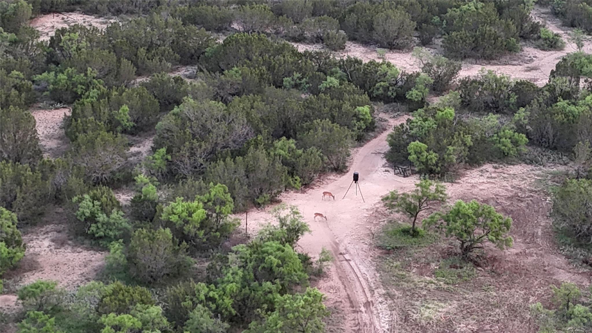 18099 Fm-2134, Millersview, TX 76862