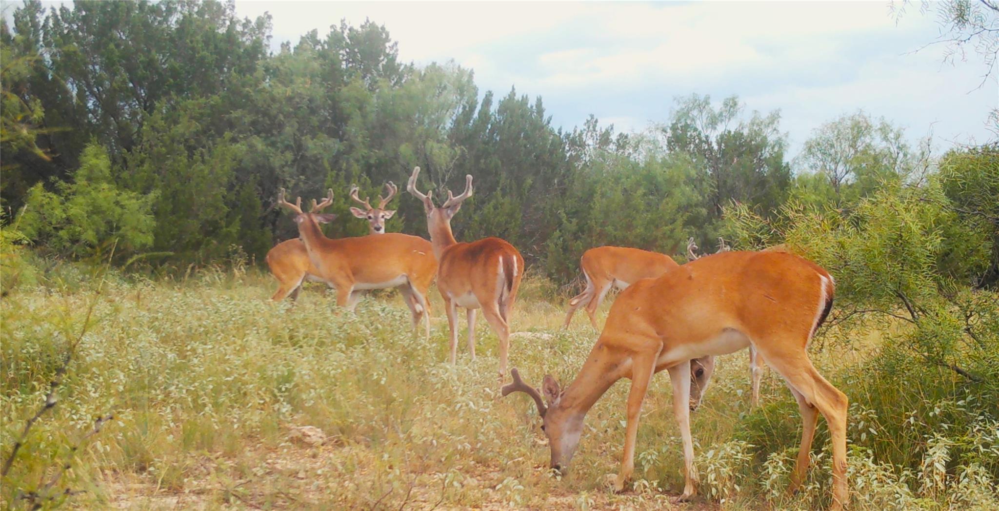 18099 Fm-2134, Millersview, TX 76862