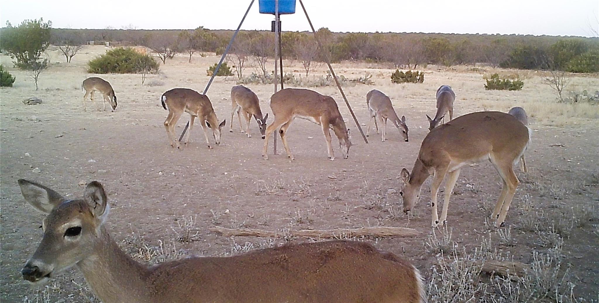 18099 Fm-2134, Millersview, TX 76862