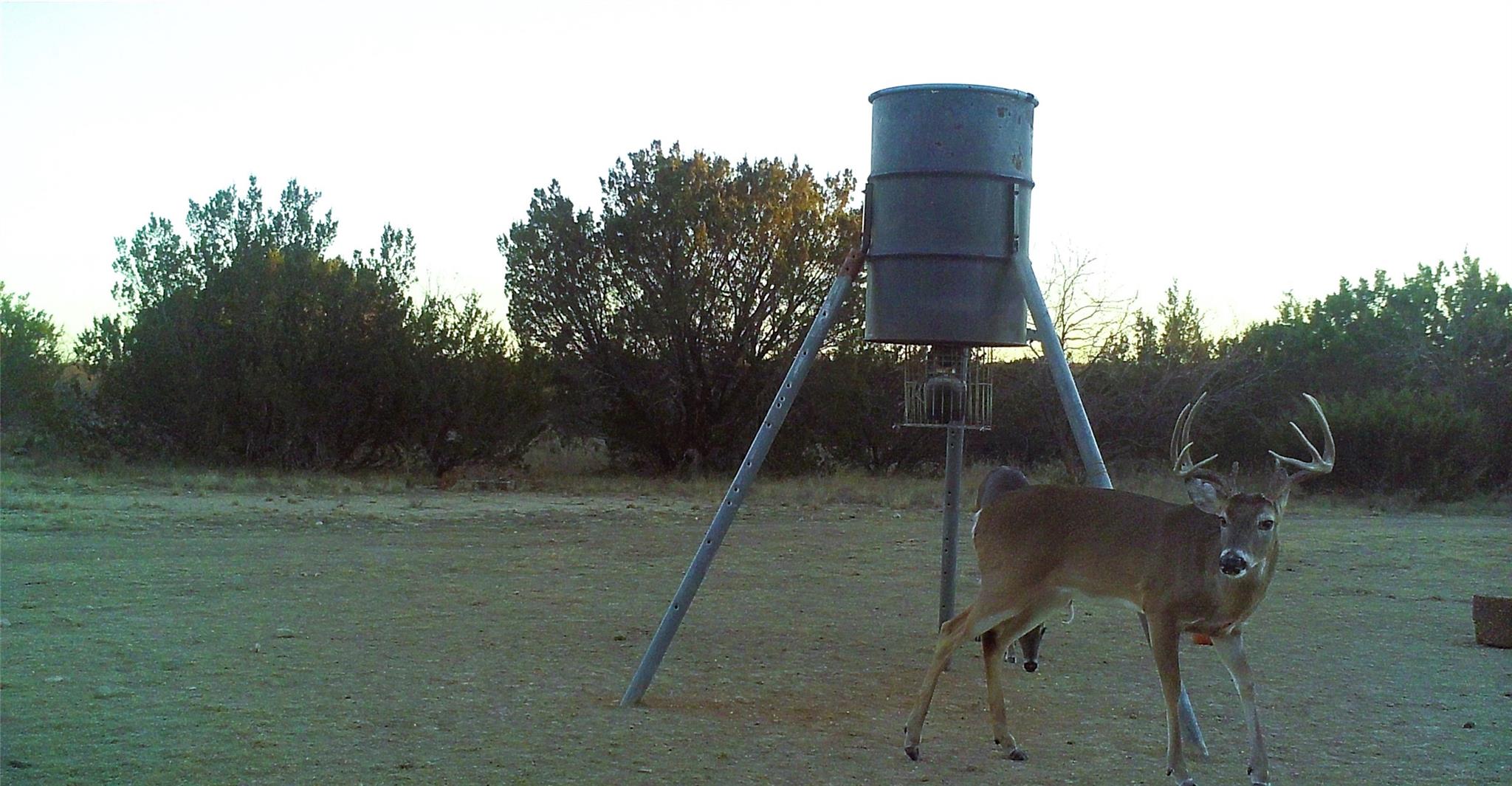 18099 Fm-2134, Millersview, TX 76862