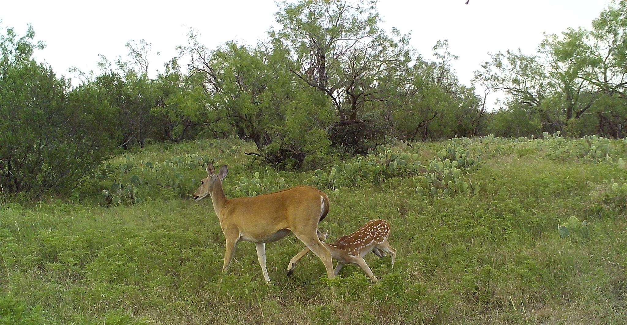 18099 Fm-2134, Millersview, TX 76862