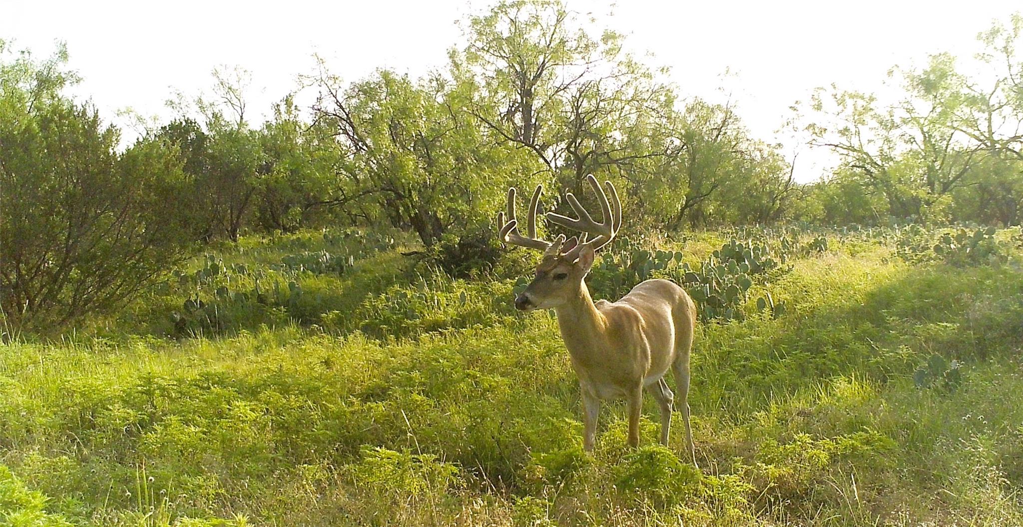 18099 Fm-2134, Millersview, TX 76862