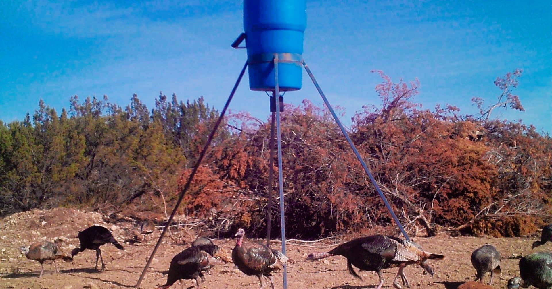 18099 Fm-2134, Millersview, TX 76862