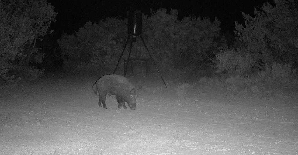 18099 Fm-2134, Millersview, TX 76862