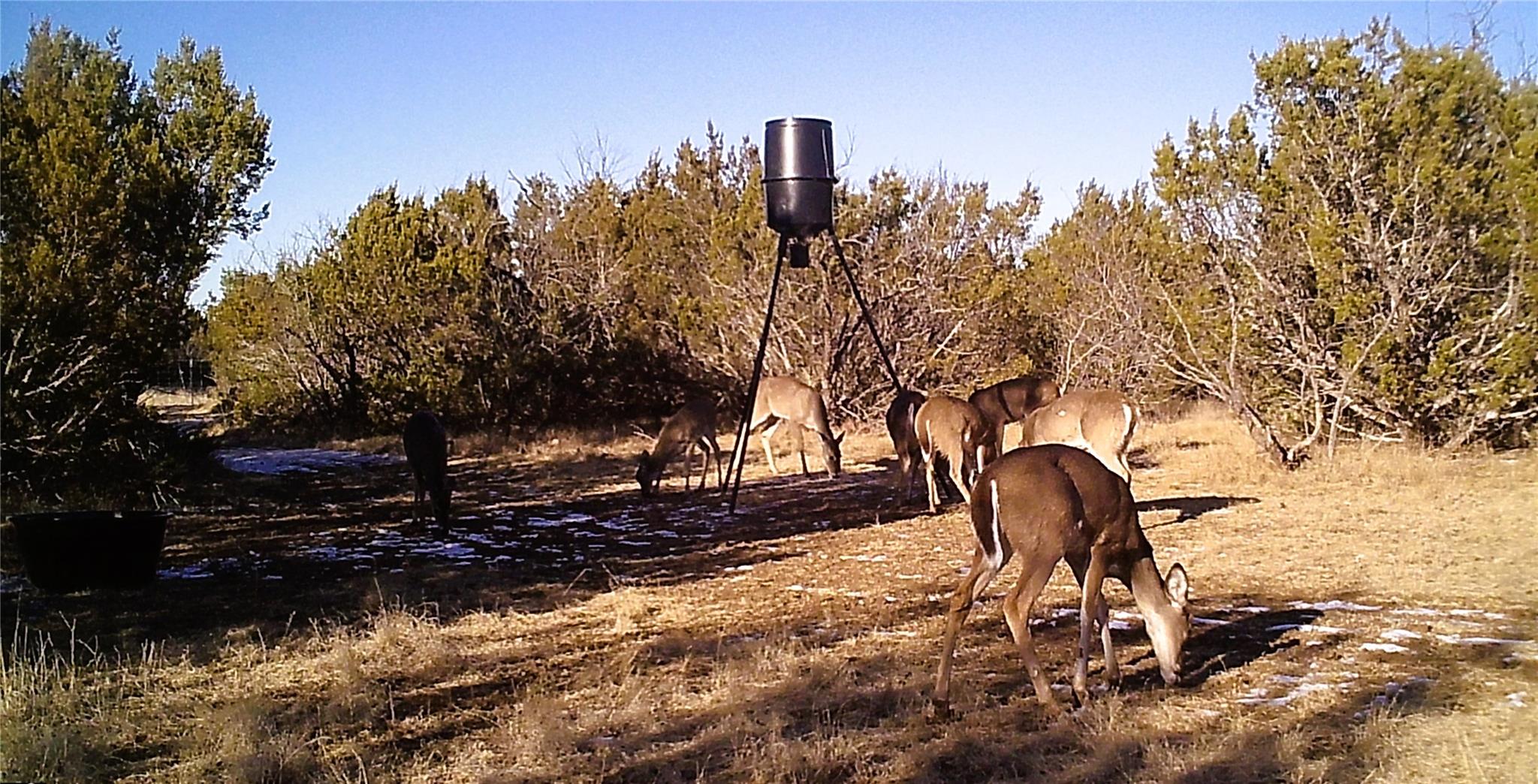 18099 Fm-2134, Millersview, TX 76862