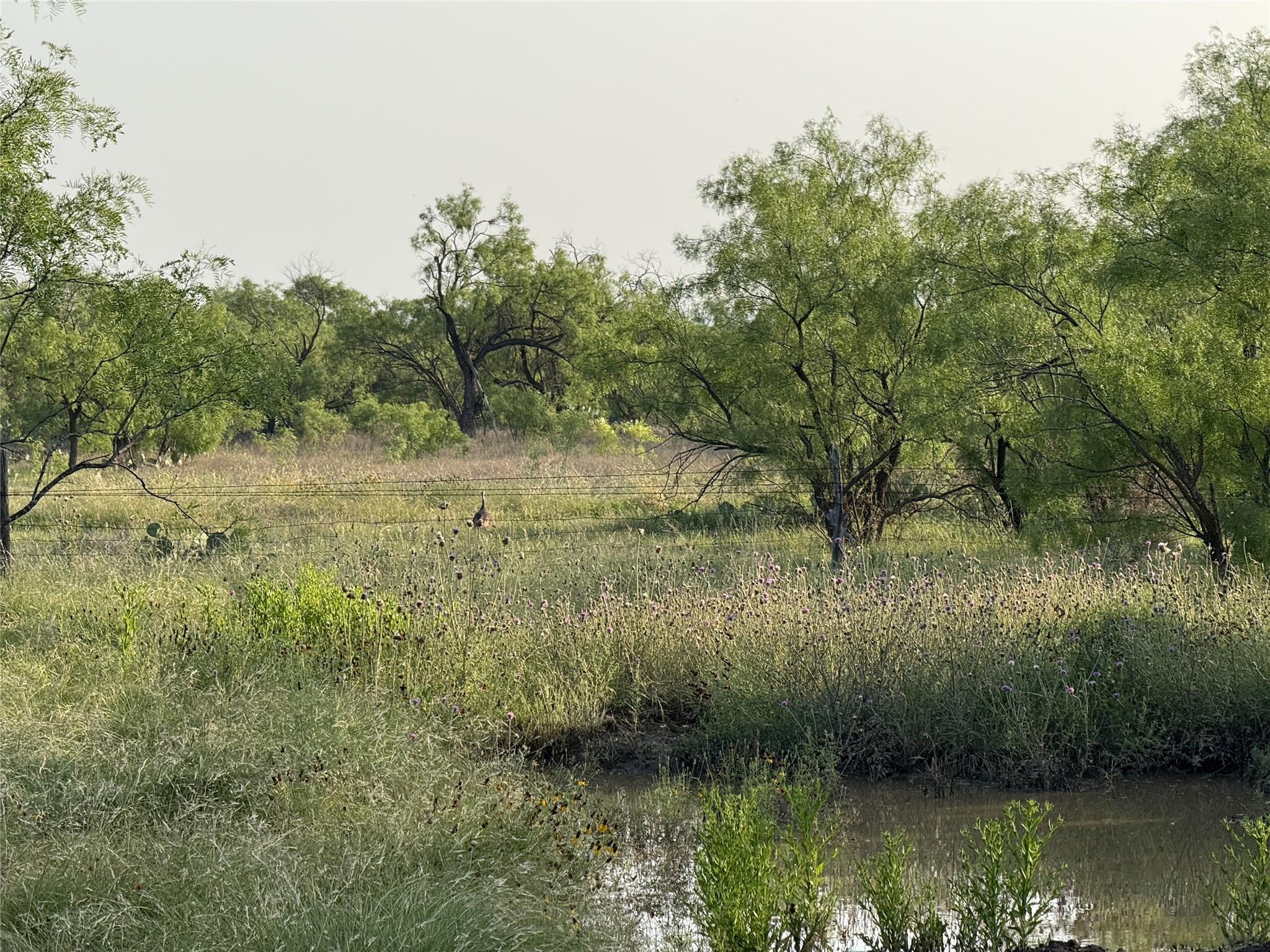 18099 Fm-2134, Millersview, TX 76862