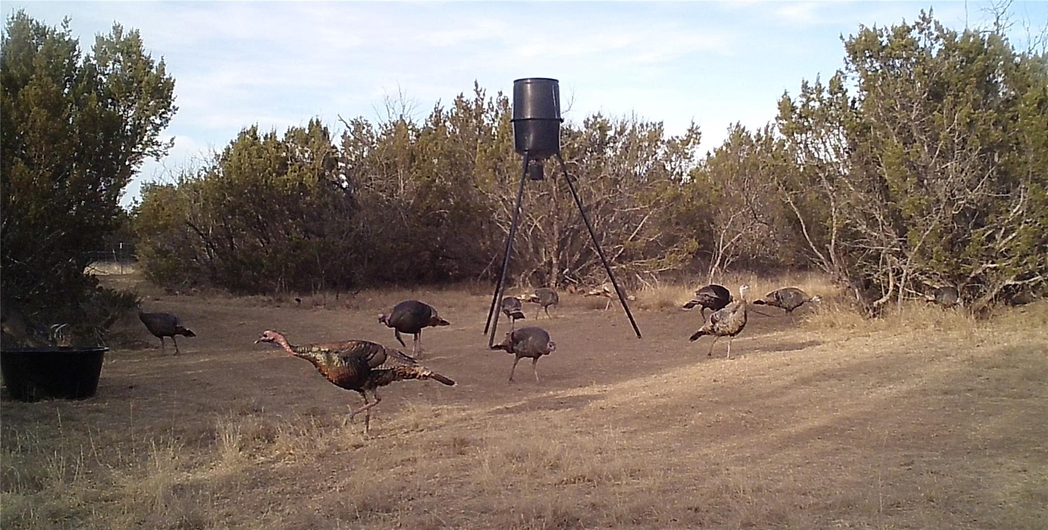 18099 Fm-2134, Millersview, TX 76862