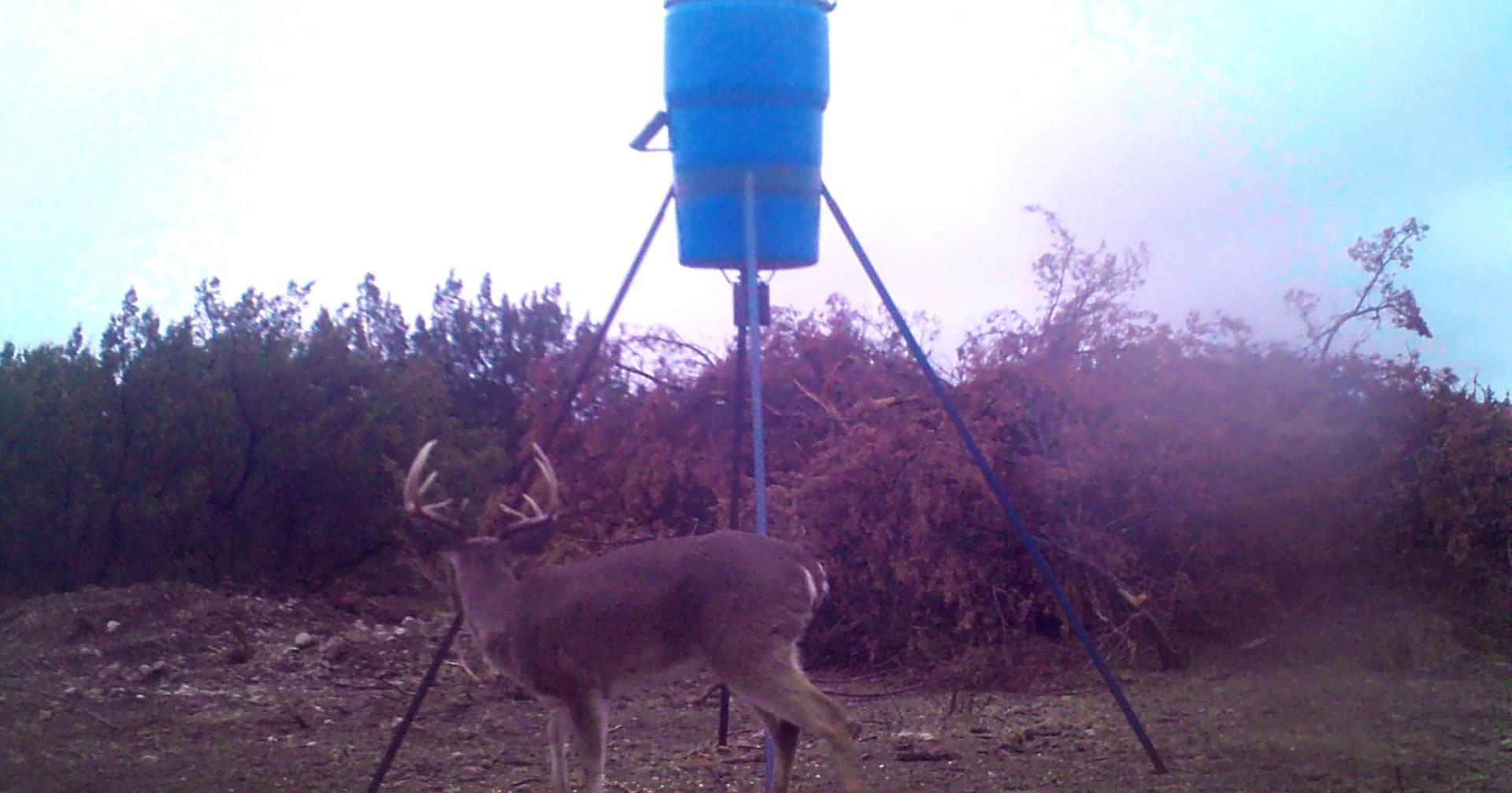 18099 Fm-2134, Millersview, TX 76862