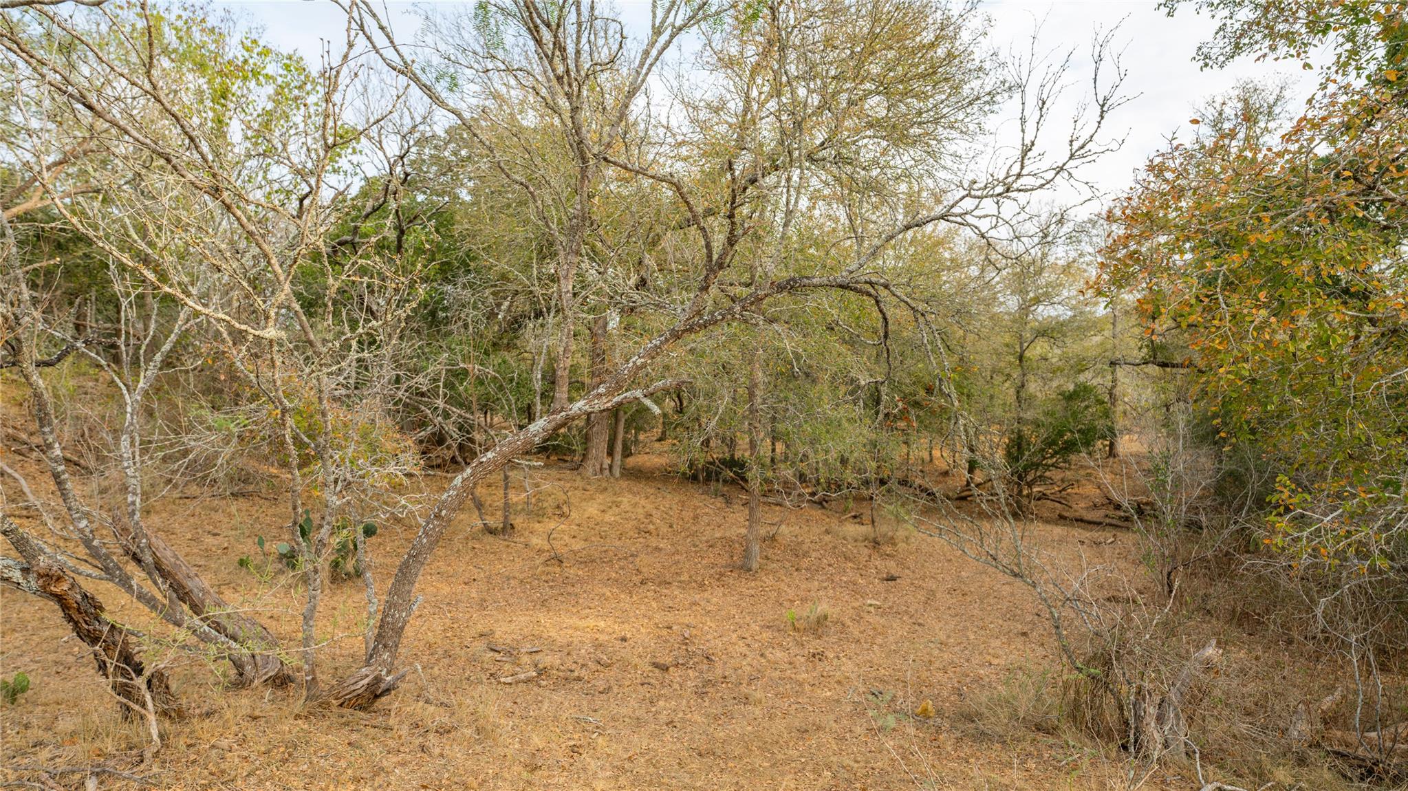 3980 (Tract 5) Fm 3158, Dale, TX 78616