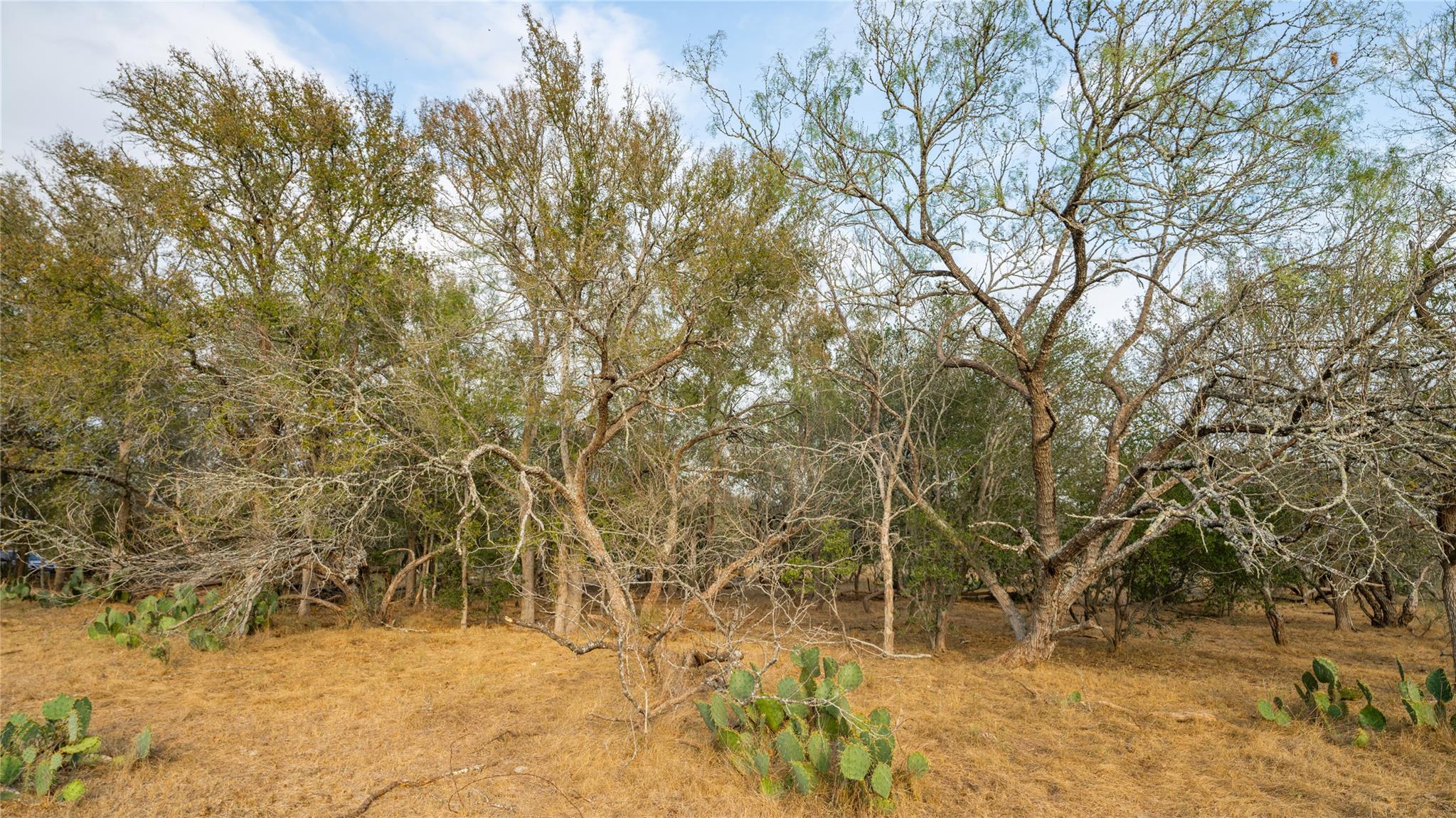 3980 (Tract 5) Fm 3158, Dale, TX 78616