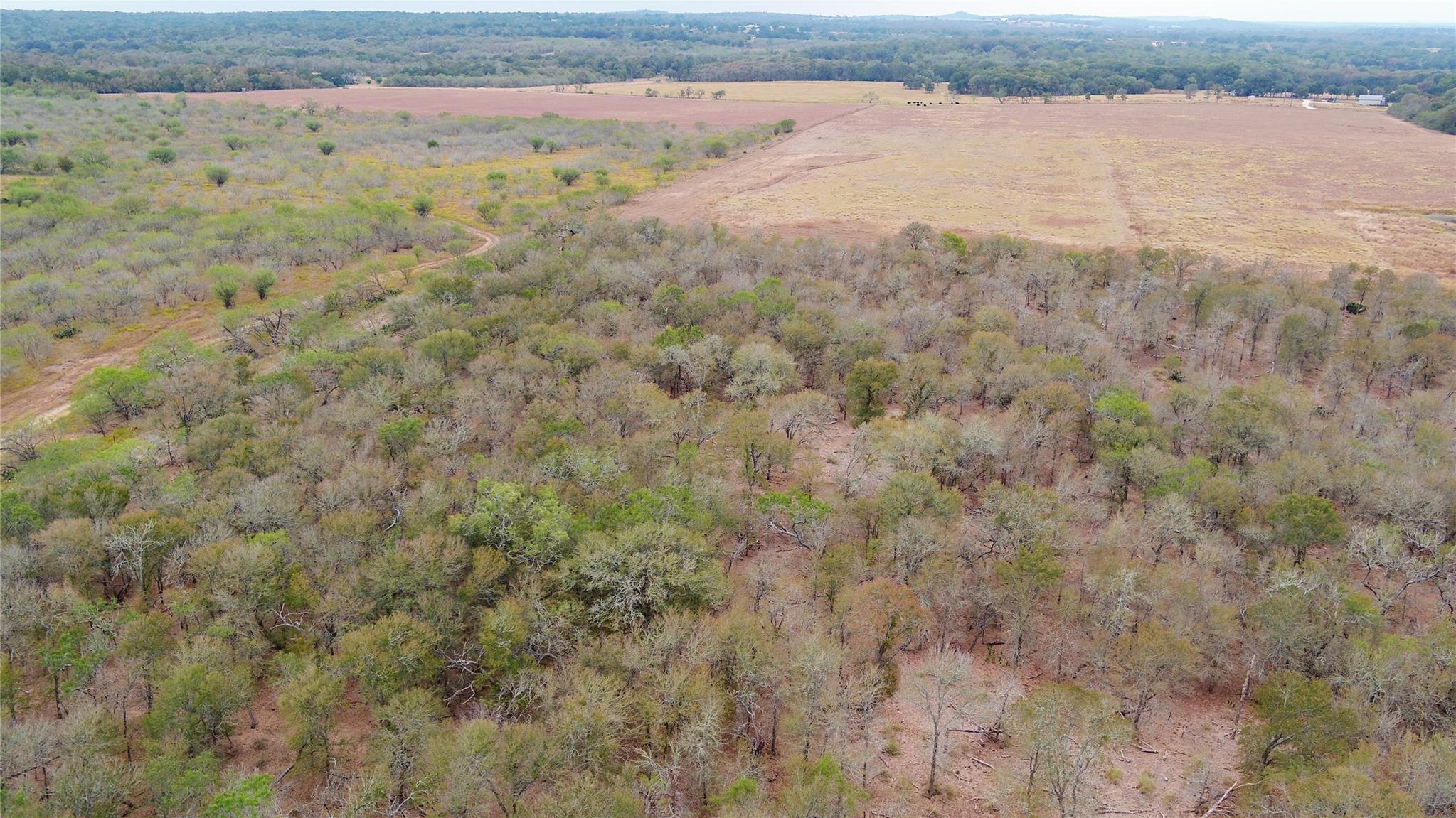 3980 (Tract 5) Fm 3158, Dale, TX 78616