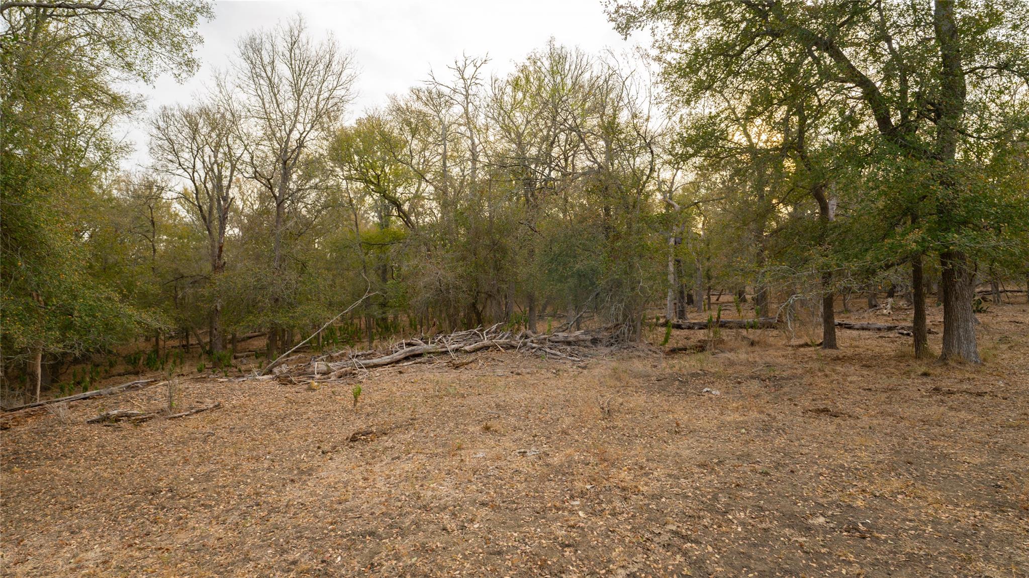 3980 (Tract 5) Fm 3158, Dale, TX 78616