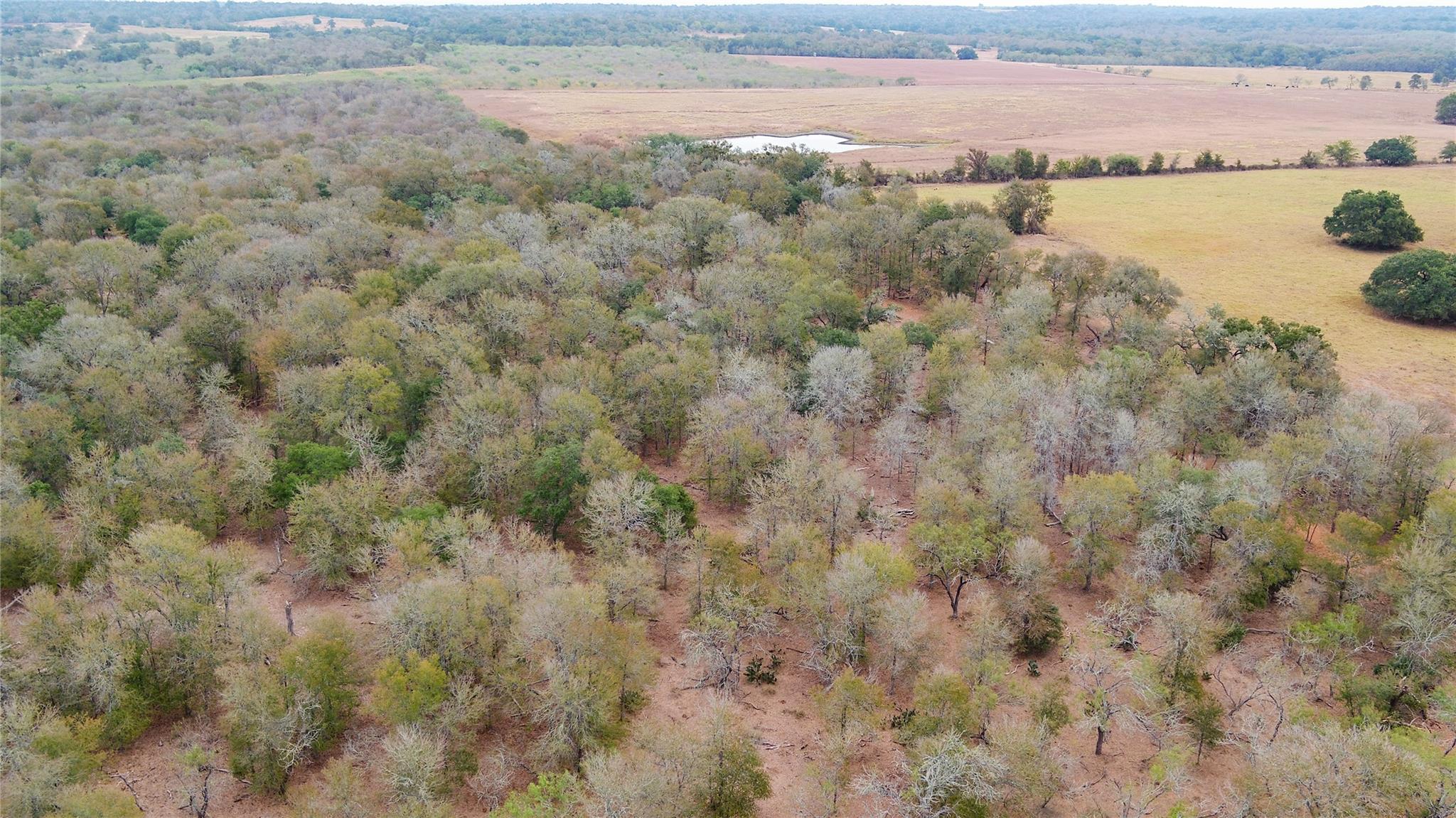 3980 (Tract 5) Fm 3158, Dale, TX 78616