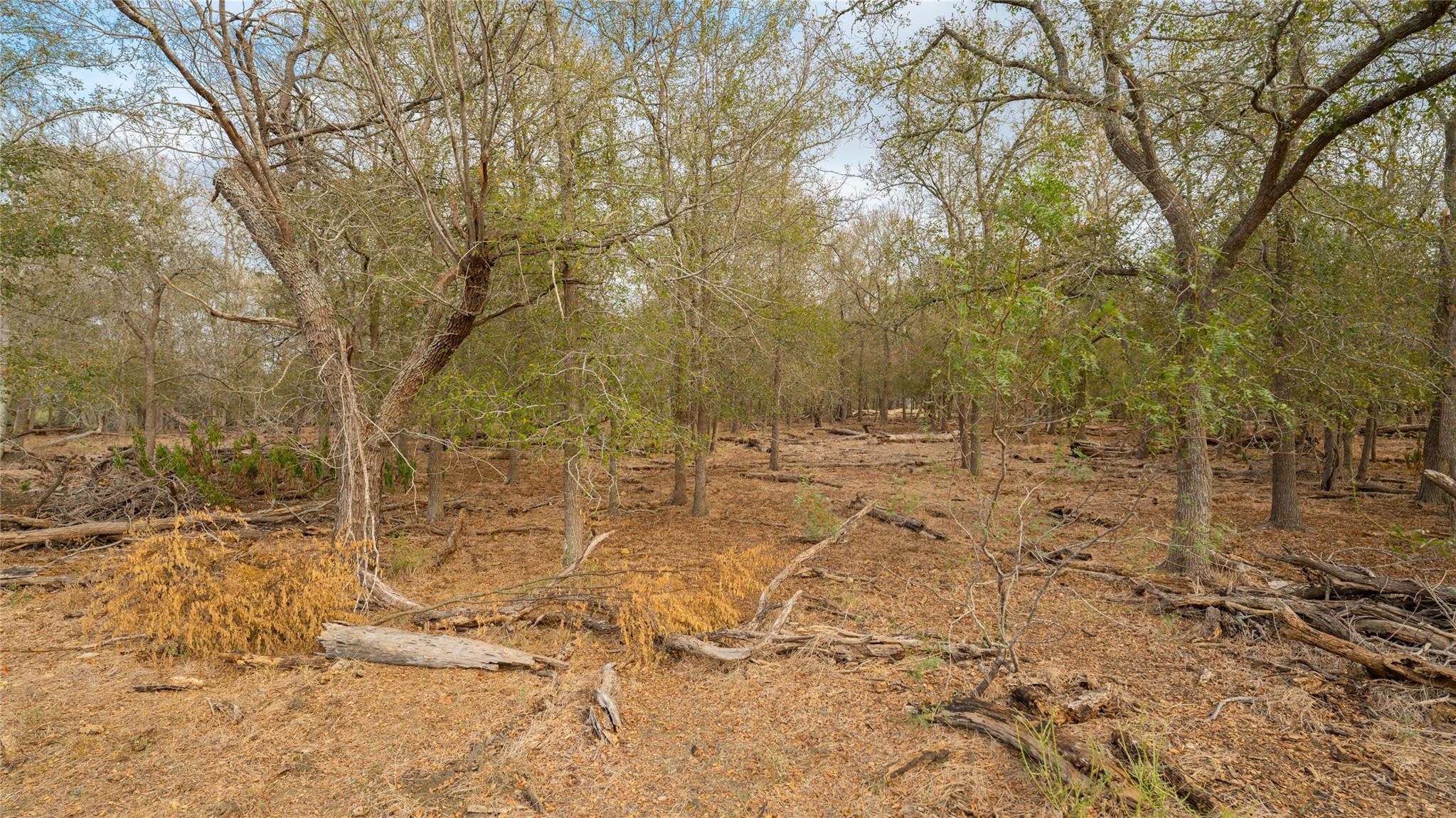 3980 (Tract 5) Fm 3158, Dale, TX 78616