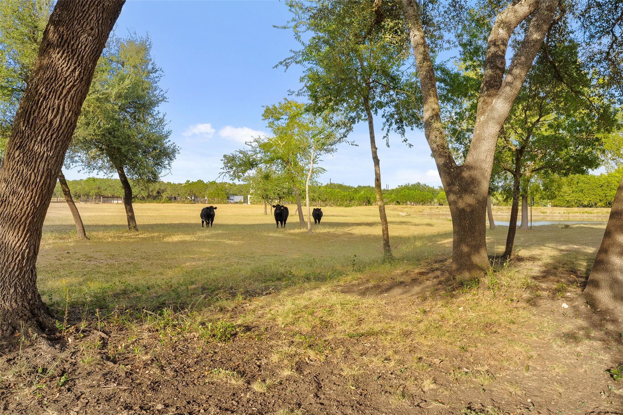 2700 County Road 282 Rd, Leander, TX 78641