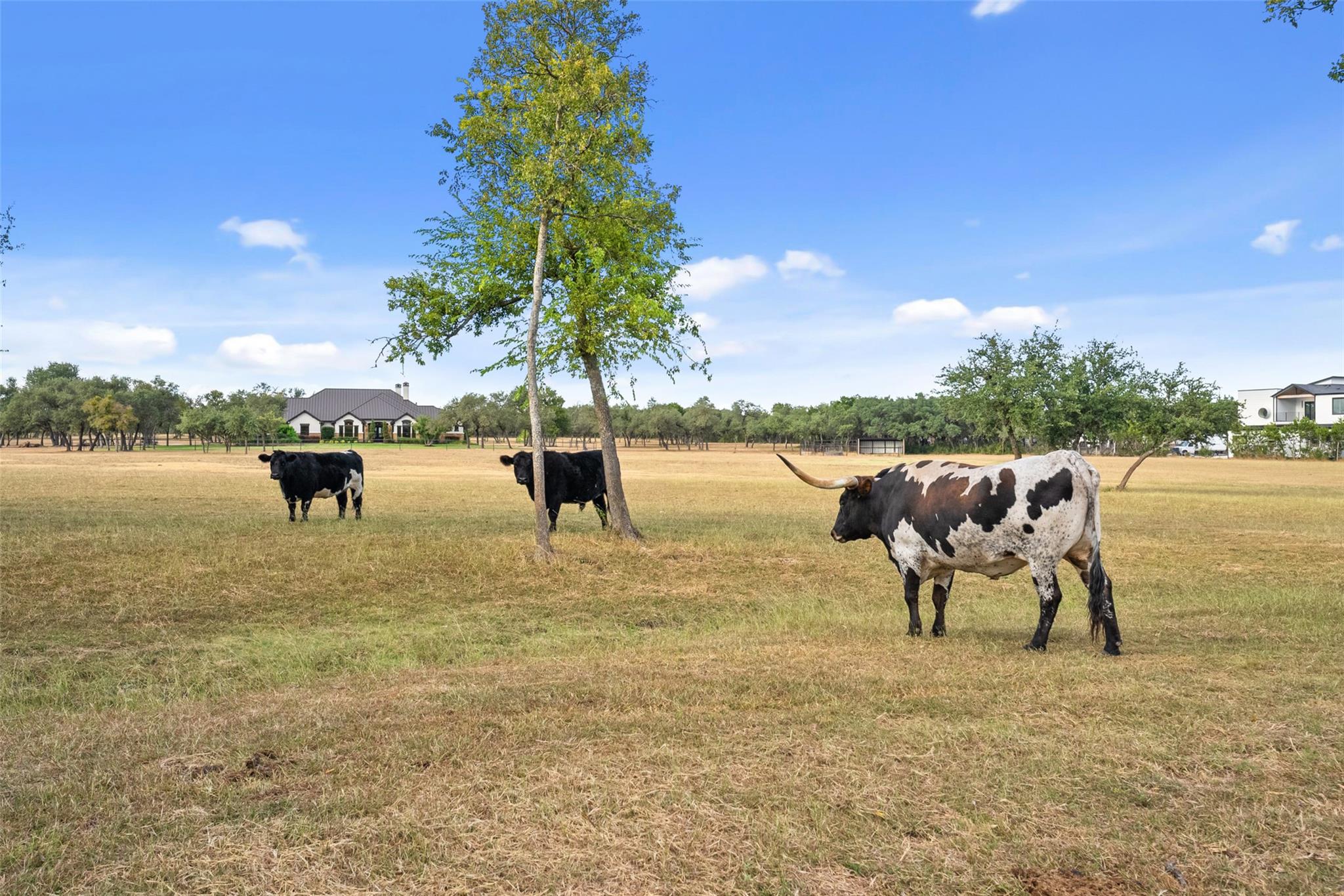 2700 County Road 282 Rd, Leander, TX 78641