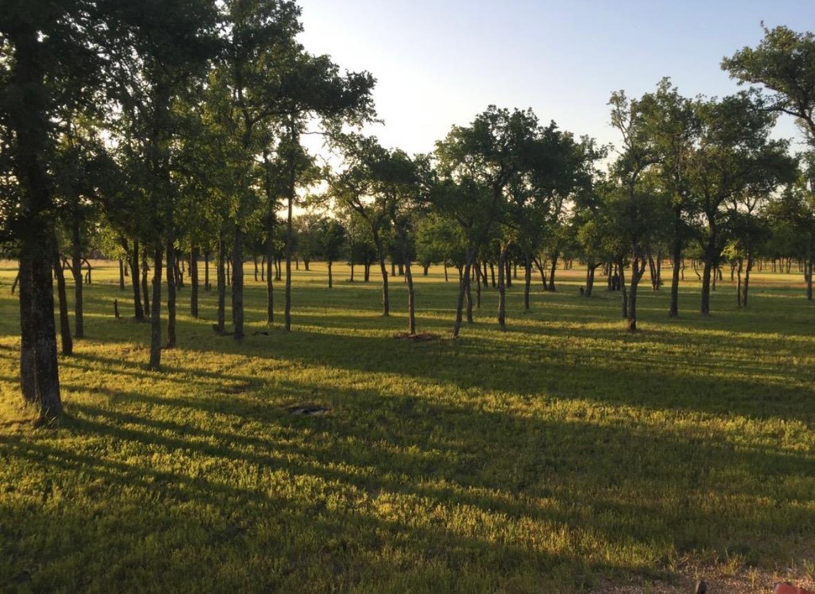 310 Thomas Ridge Rd, Burnet, TX 78611