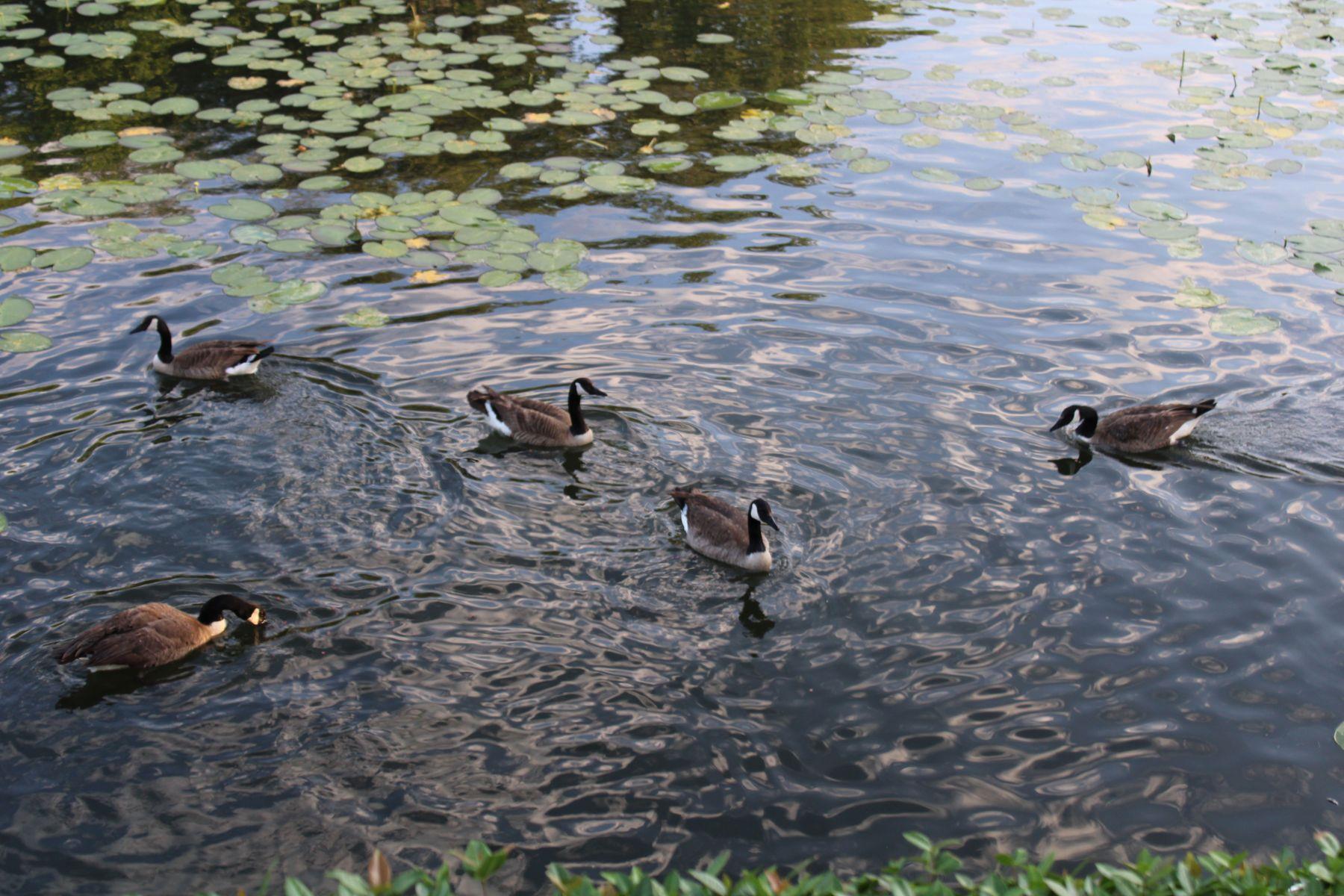 104 Horseshoe Bay Blvd # 5, Horseshoe Bay, TX 78657