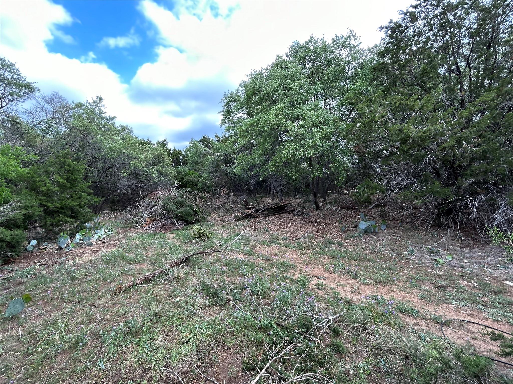 22300 Briarview Dr, Spicewood, TX 78669