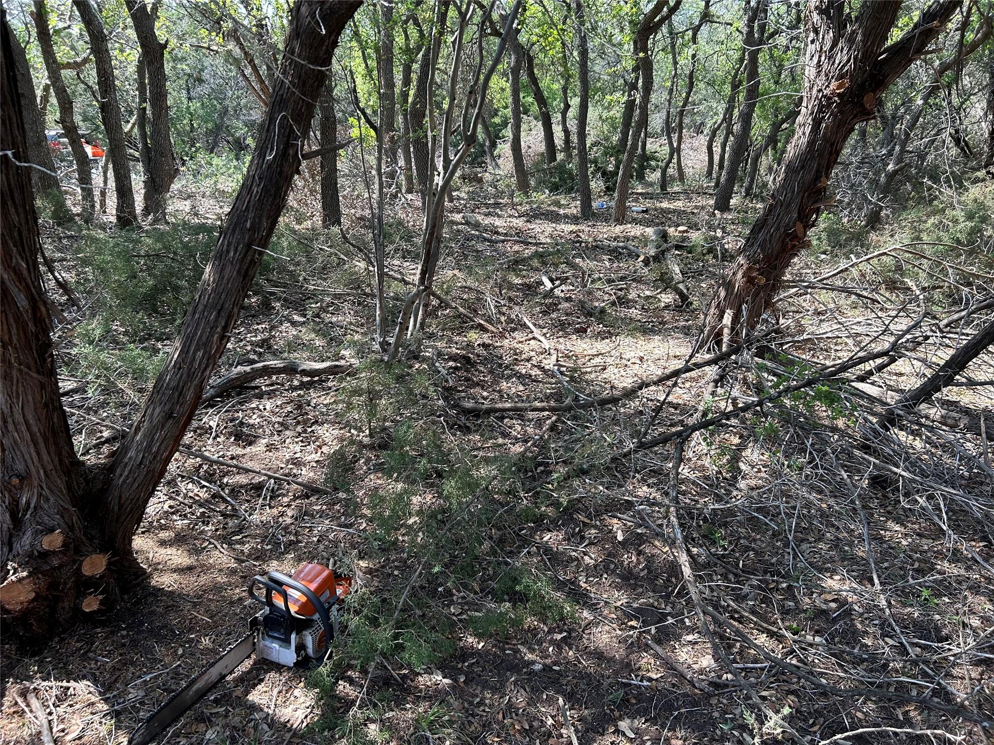 22300 Briarview Dr, Spicewood, TX 78669